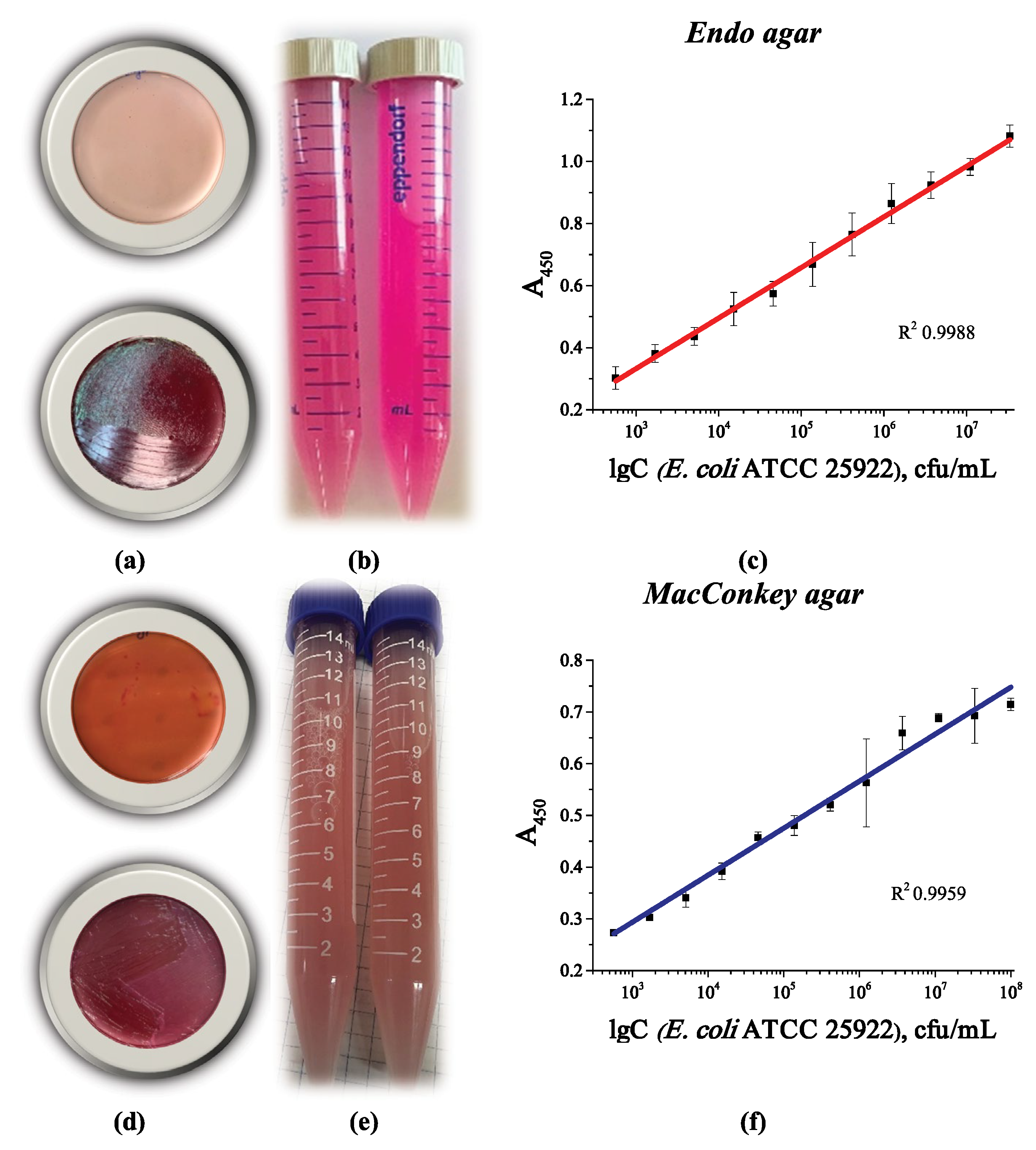 Microorganisms 13 02745 g011 Microorganisms 13 02745 g011
