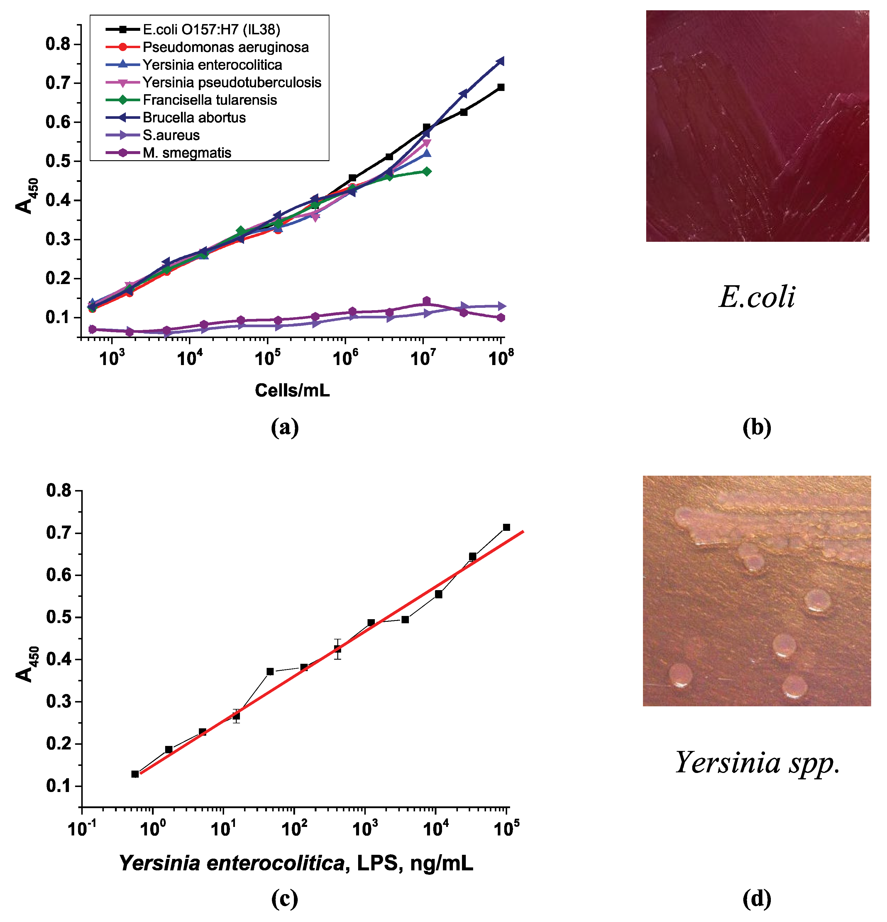 Microorganisms 13 02745 g012 Microorganisms 13 02745 g012