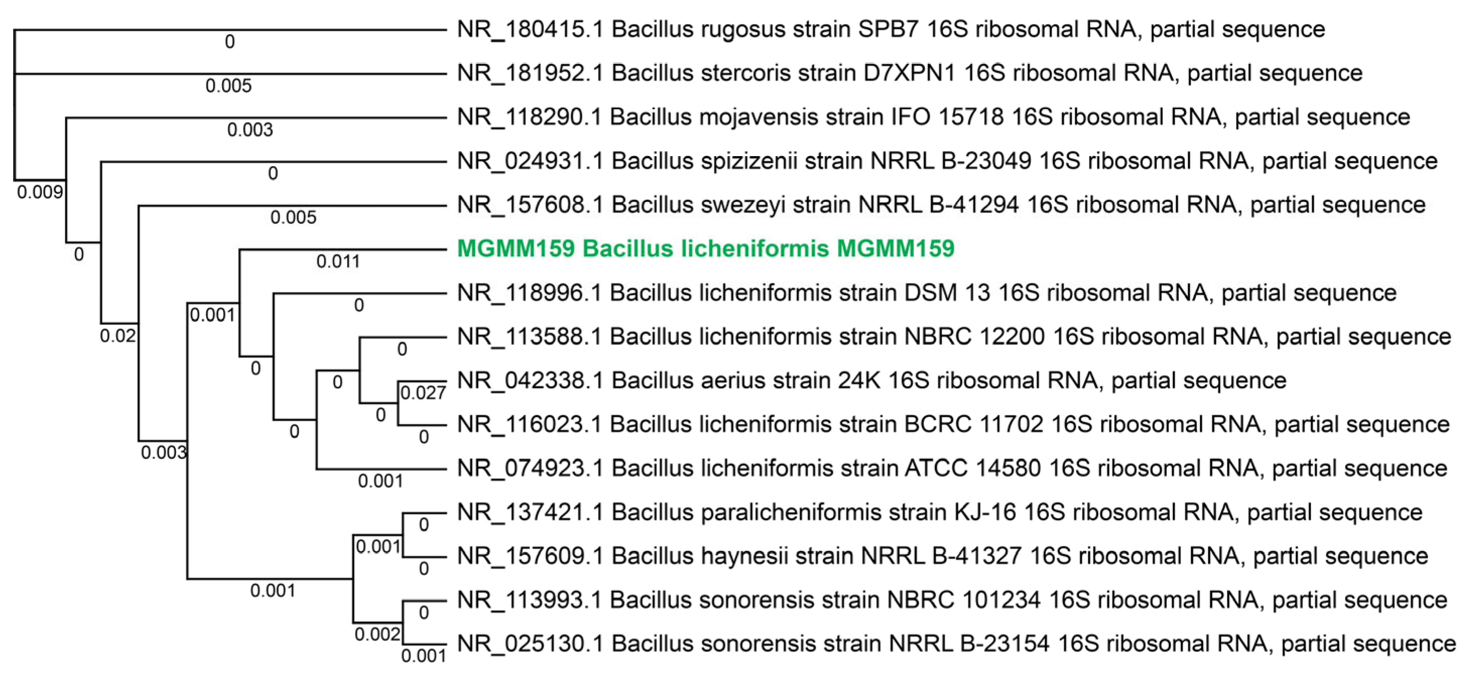 Microorganisms 13 02747 g001 Microorganisms 13 02747 g001