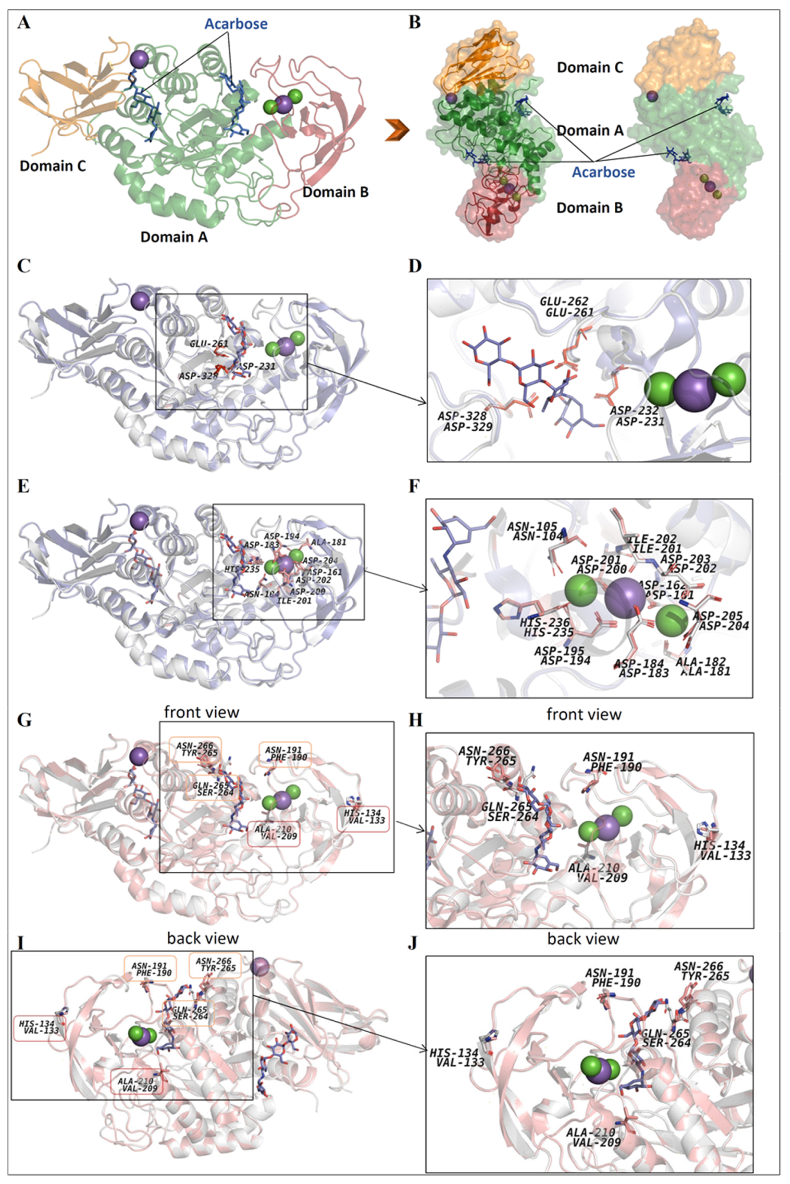 Microorganisms 13 02747 g006 Microorganisms 13 02747 g006