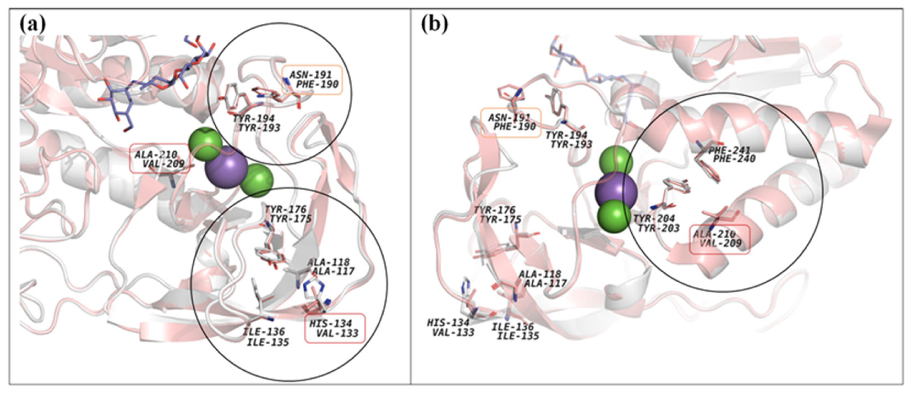 Microorganisms 13 02747 g007 Microorganisms 13 02747 g007