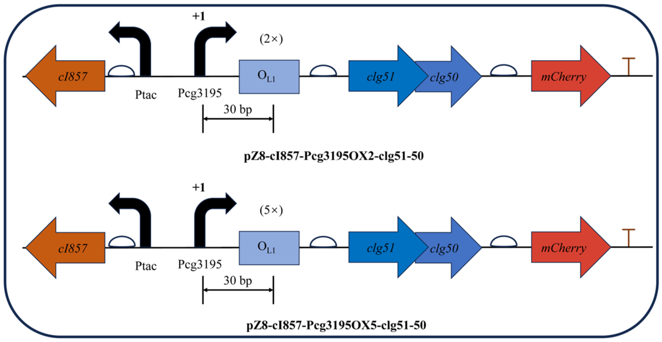 Microorganisms 13 02758 g009