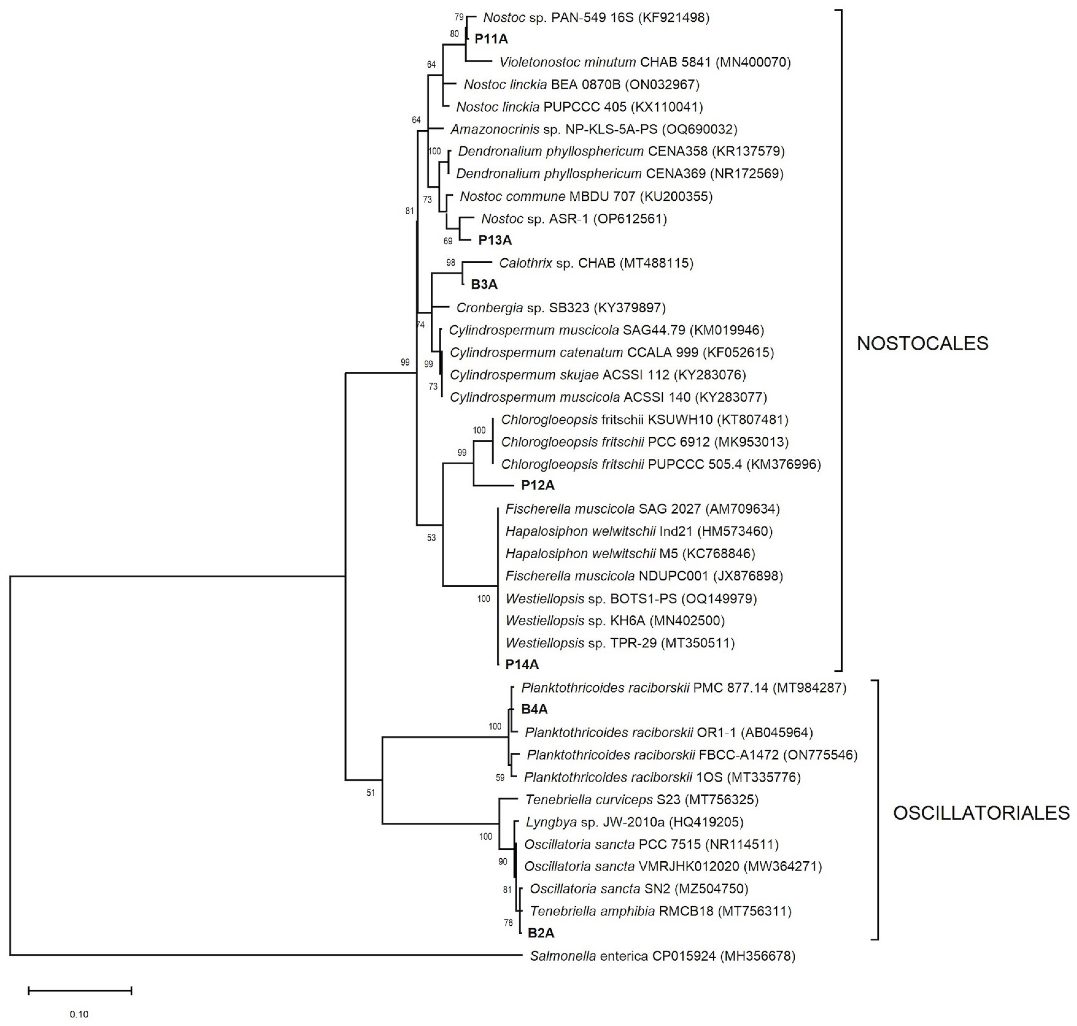 Microorganisms 13 02763 g004 Microorganisms 13 02763 g004
