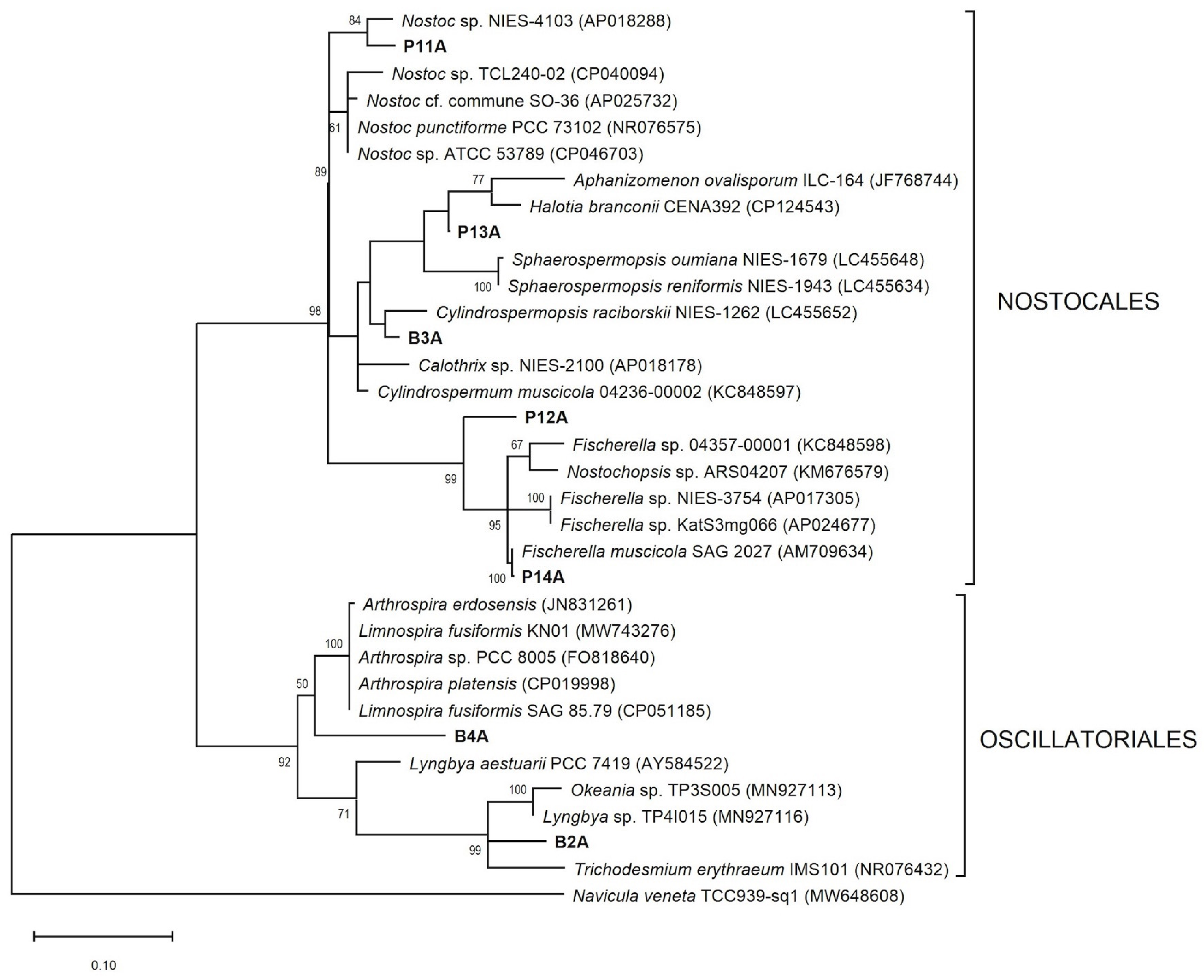Microorganisms 13 02763 g005 Microorganisms 13 02763 g005