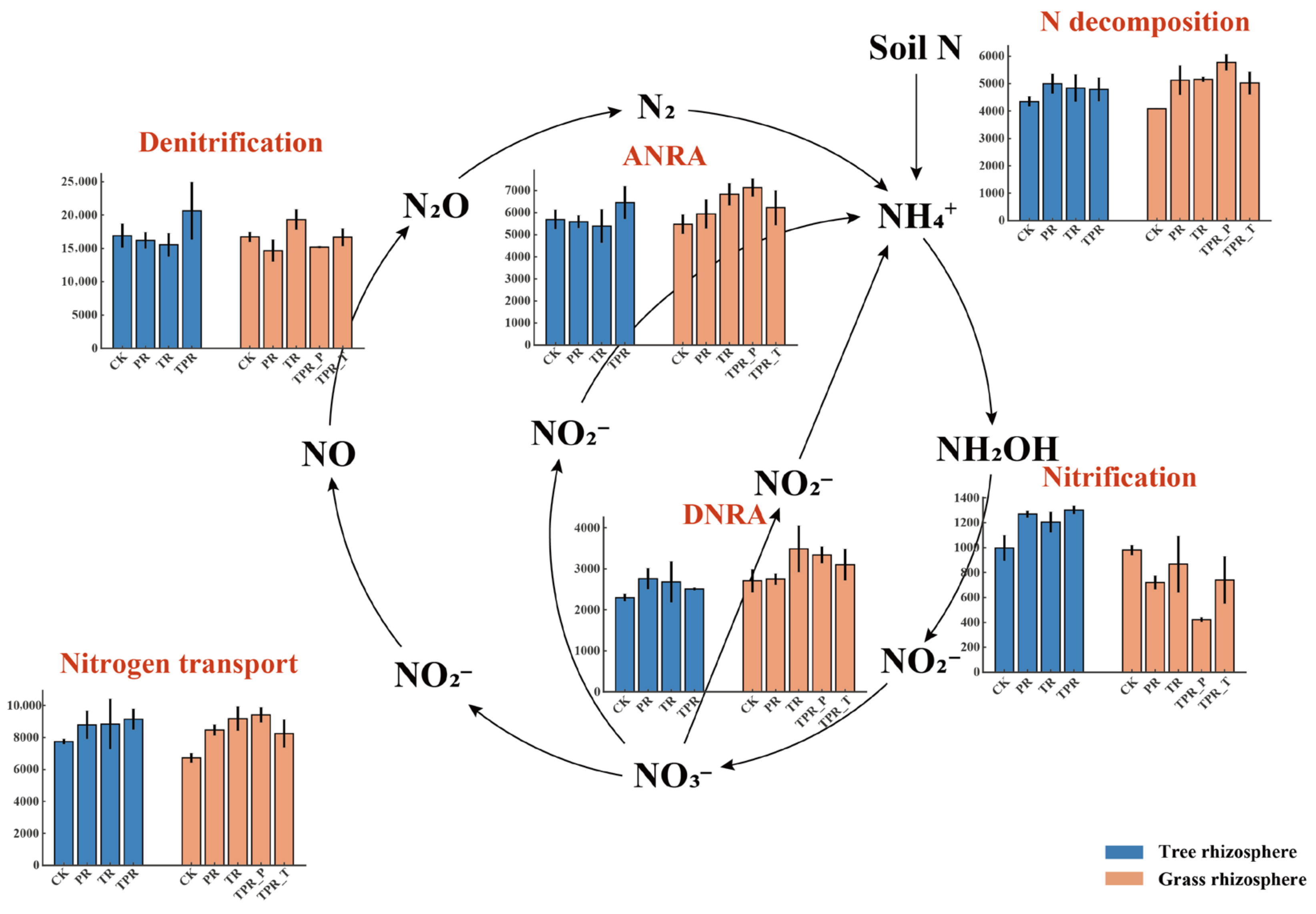 Microorganisms 13 02770 g003