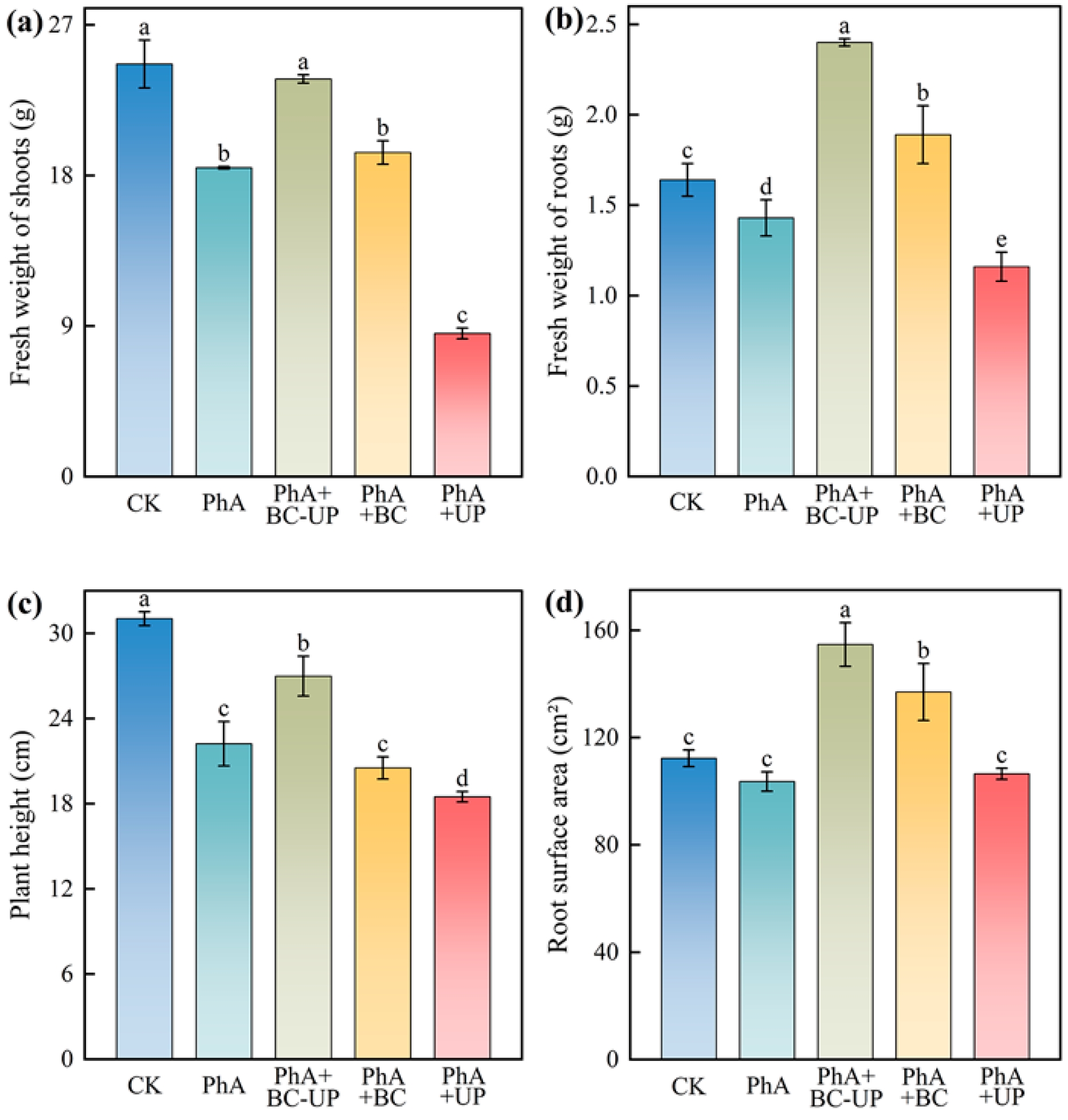 Microorganisms 13 02772 g001