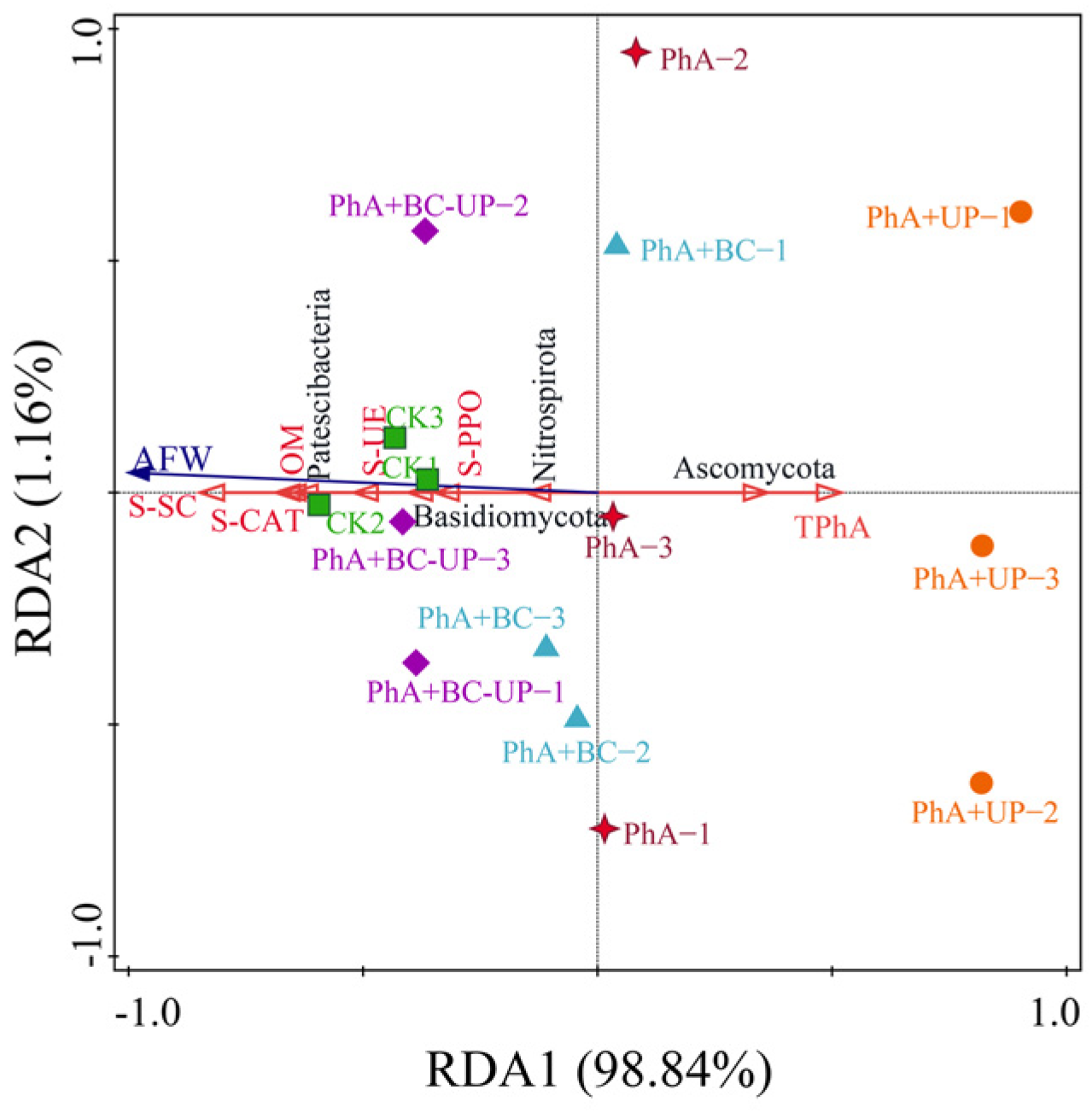Microorganisms 13 02772 g008