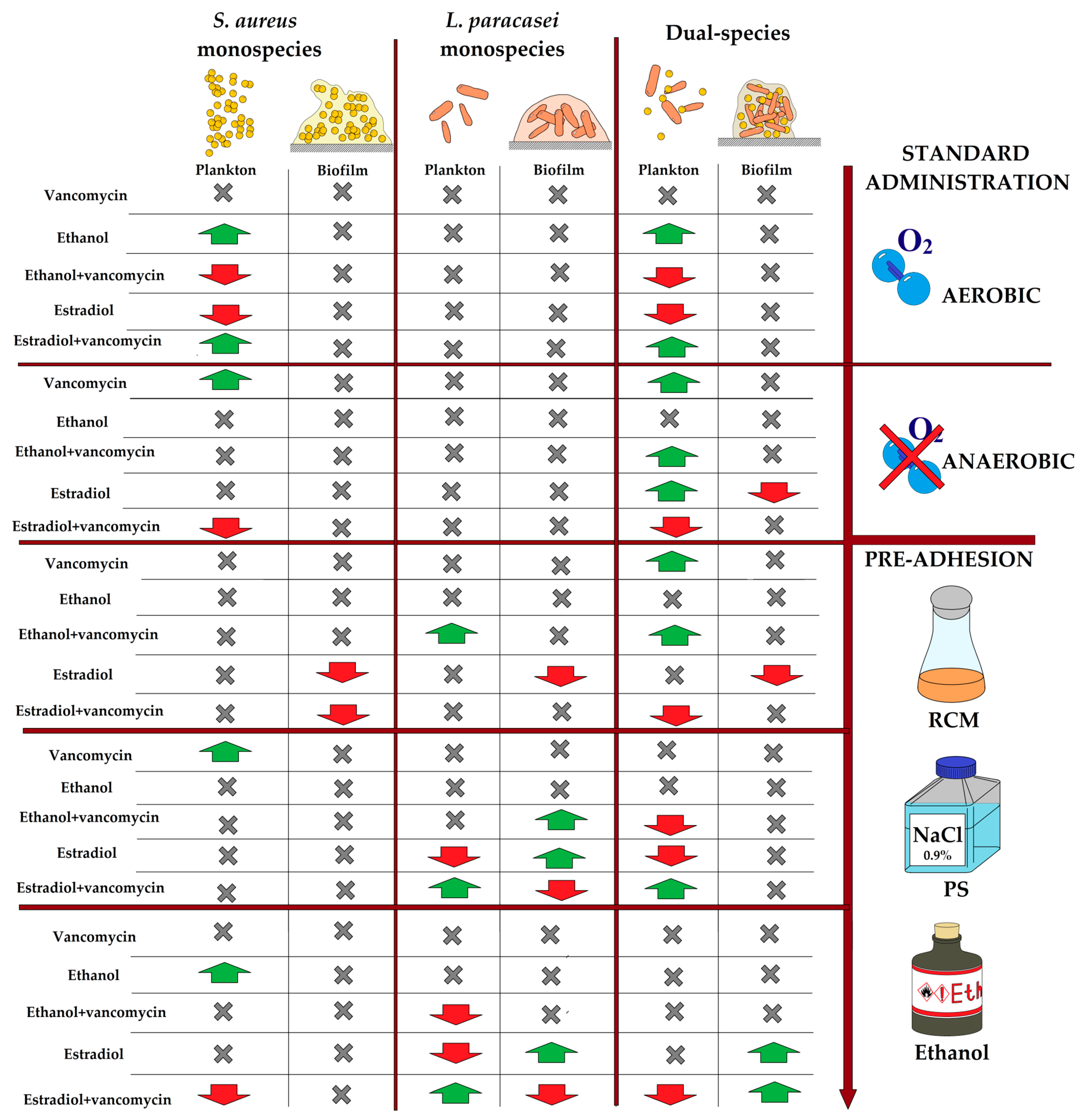 Microorganisms 13 02777 g011