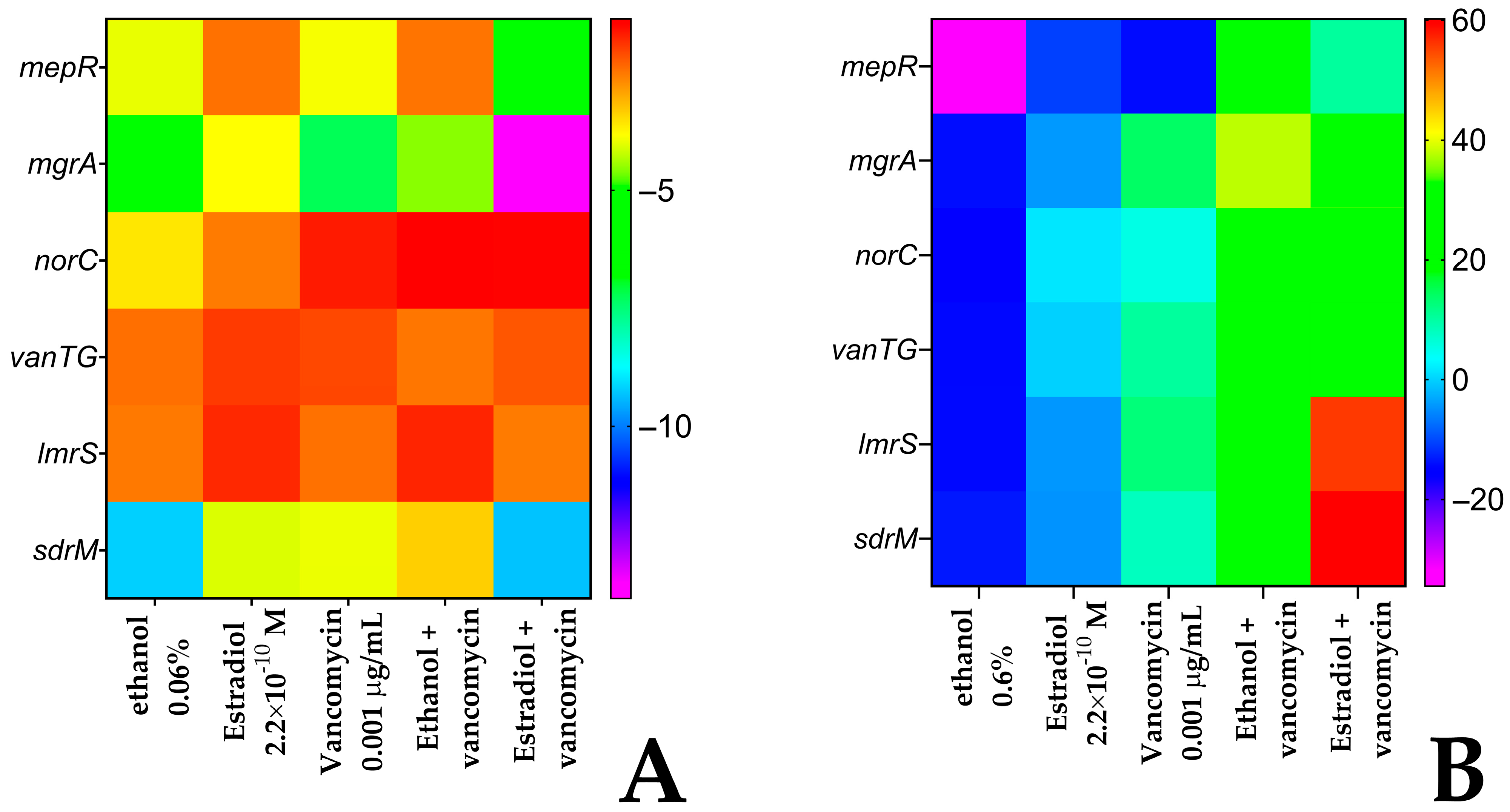 Microorganisms 13 02777 g016