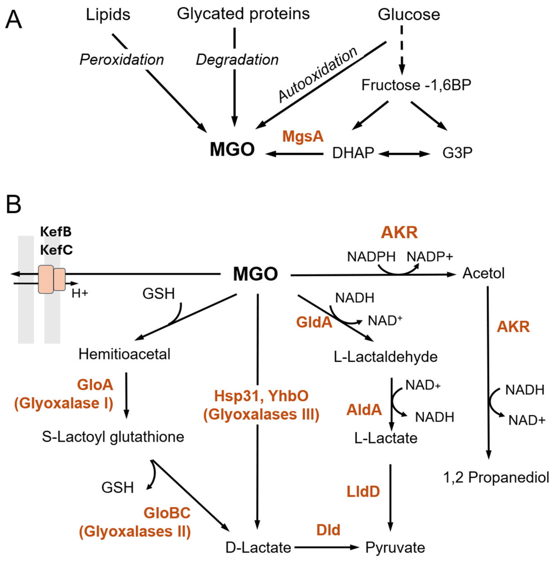 Microorganisms 13 02778 g002 Microorganisms 13 02778 g002