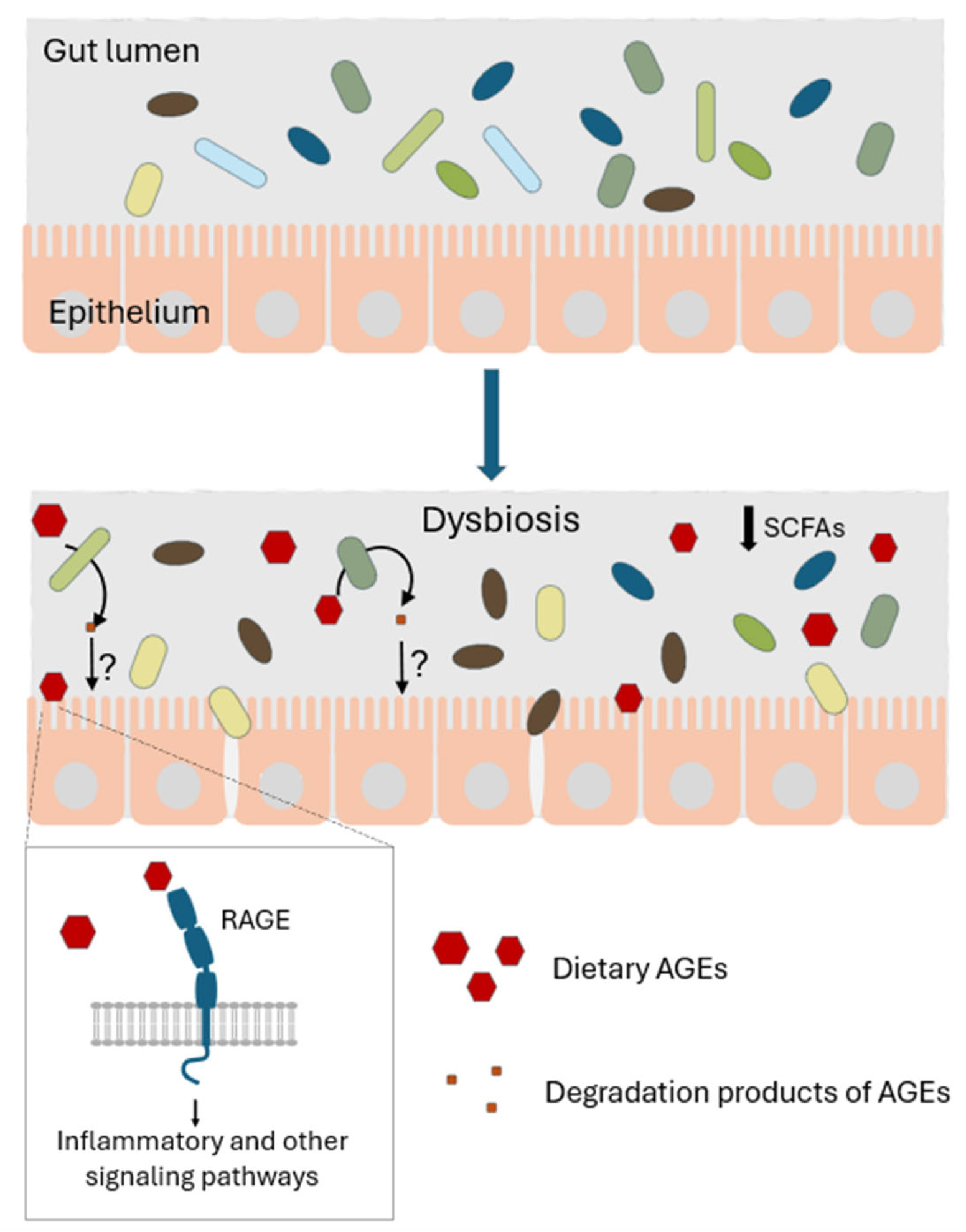 Microorganisms 13 02778 g004 Microorganisms 13 02778 g004