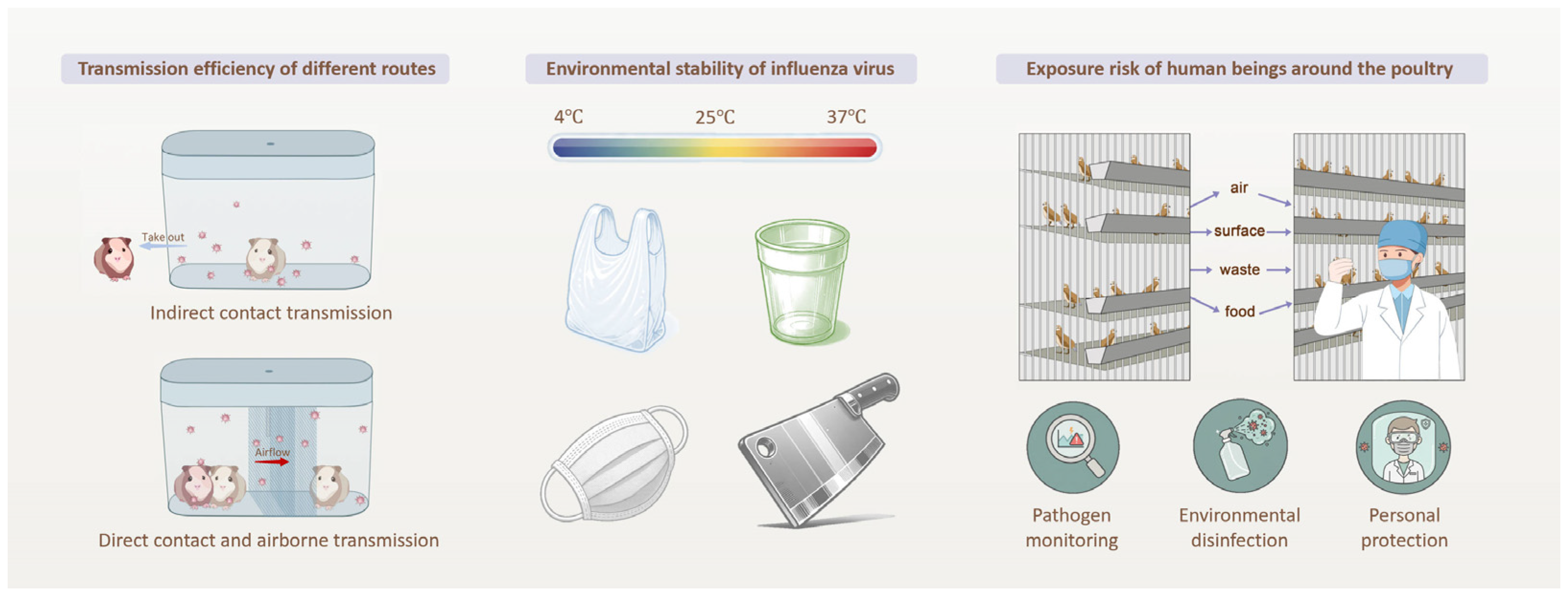 Microorganisms 13 02782 sch001 Microorganisms 13 02782 sch001