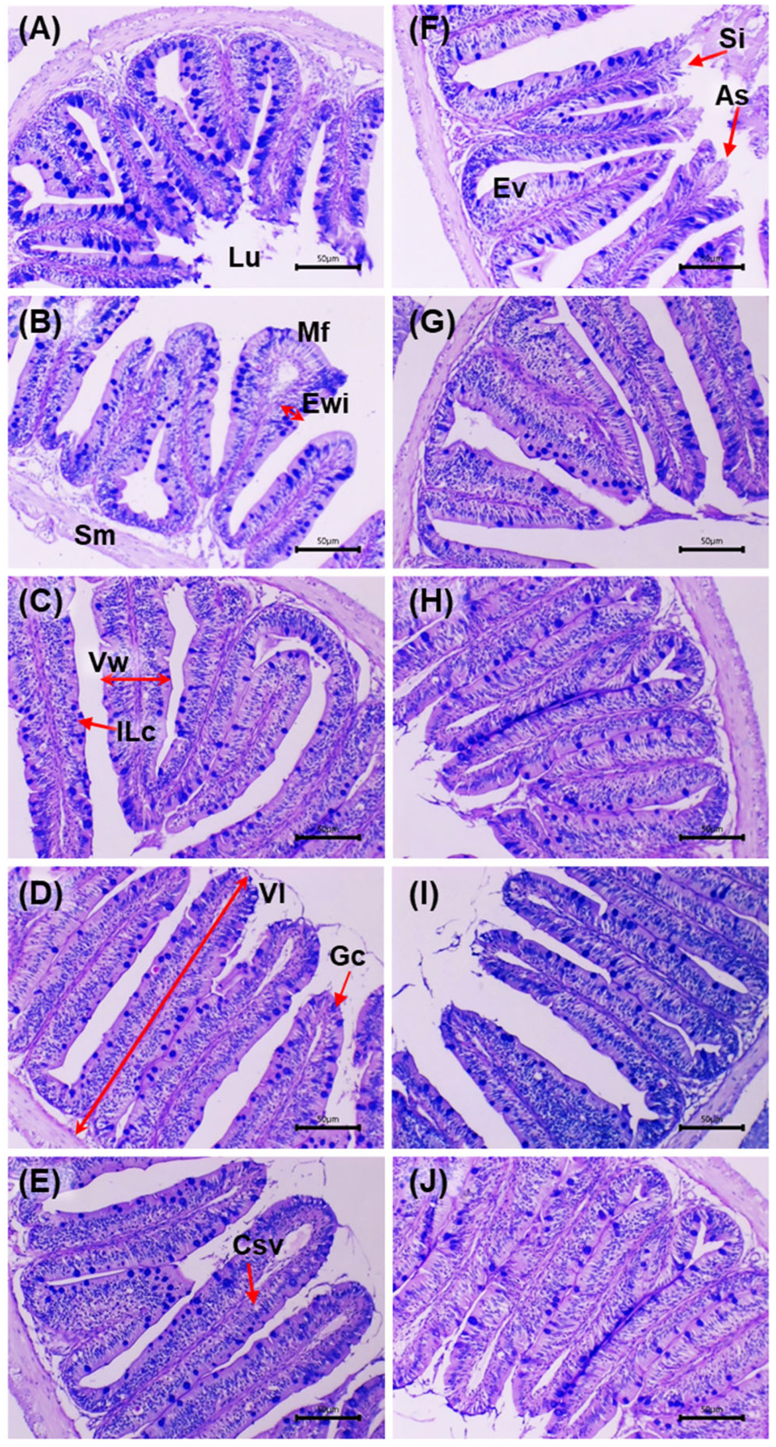 Microorganisms 13 02784 g004