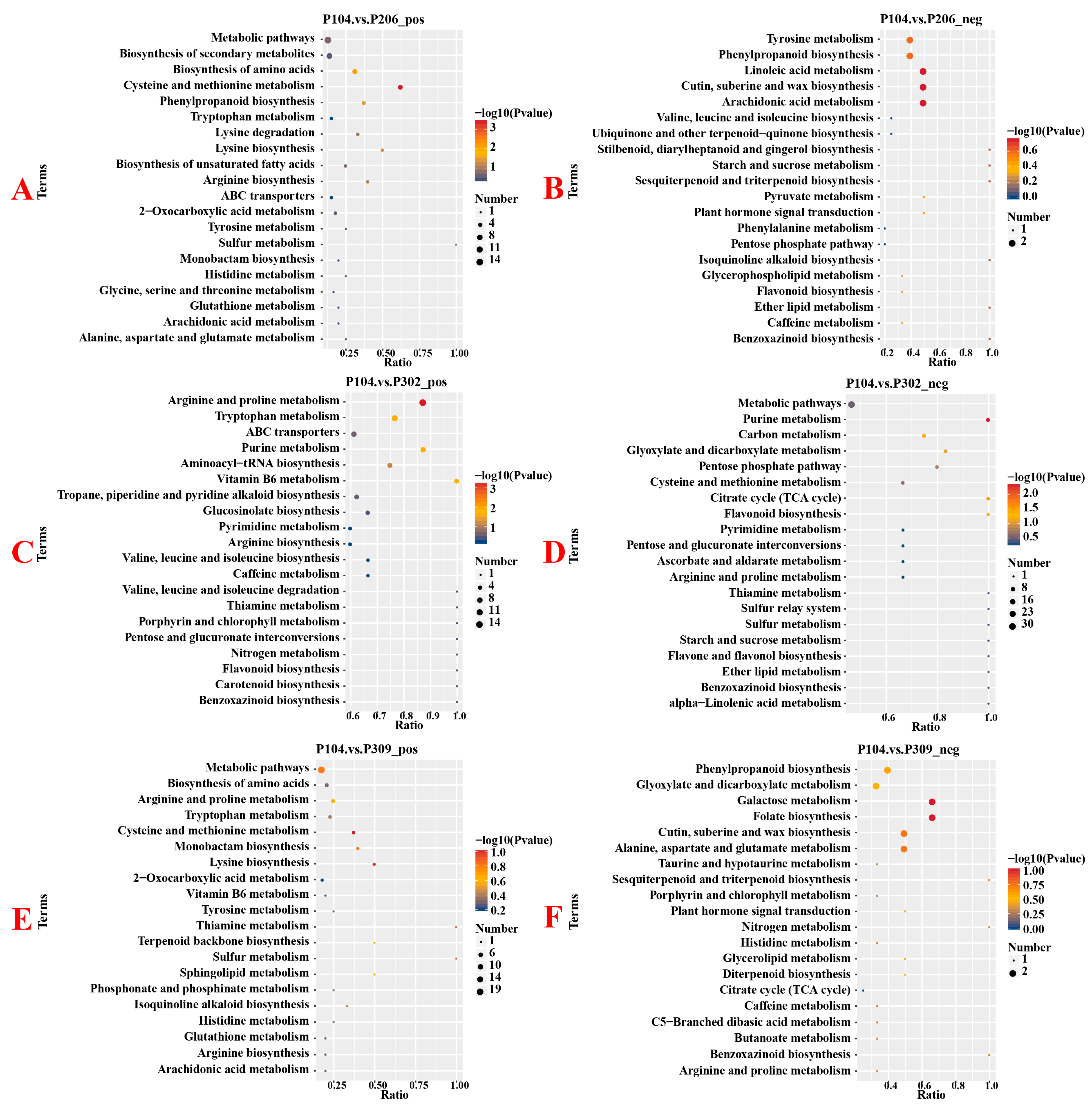 Microorganisms 13 02789 g006 Microorganisms 13 02789 g006