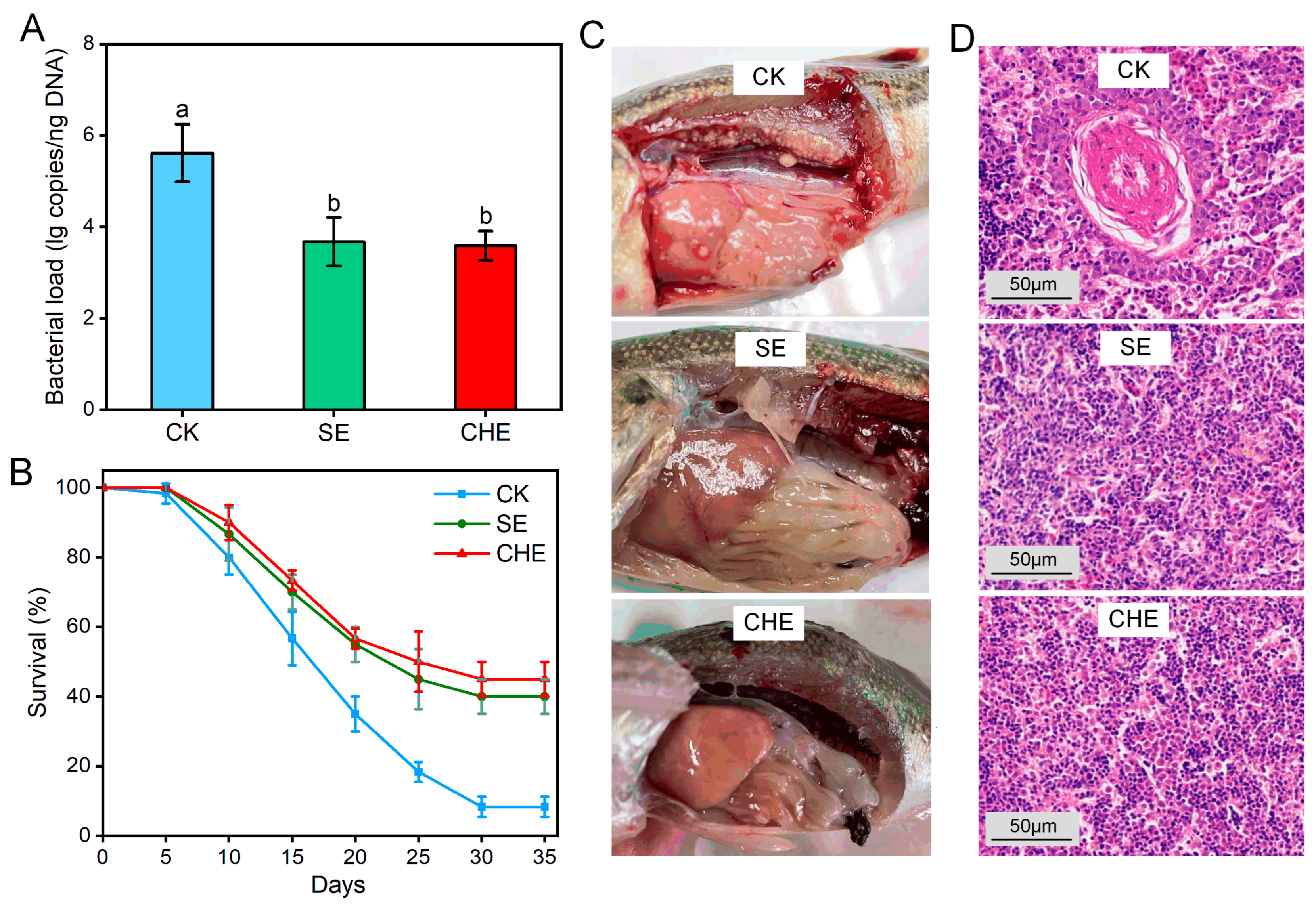 Microorganisms 13 02790 g002 Microorganisms 13 02790 g002