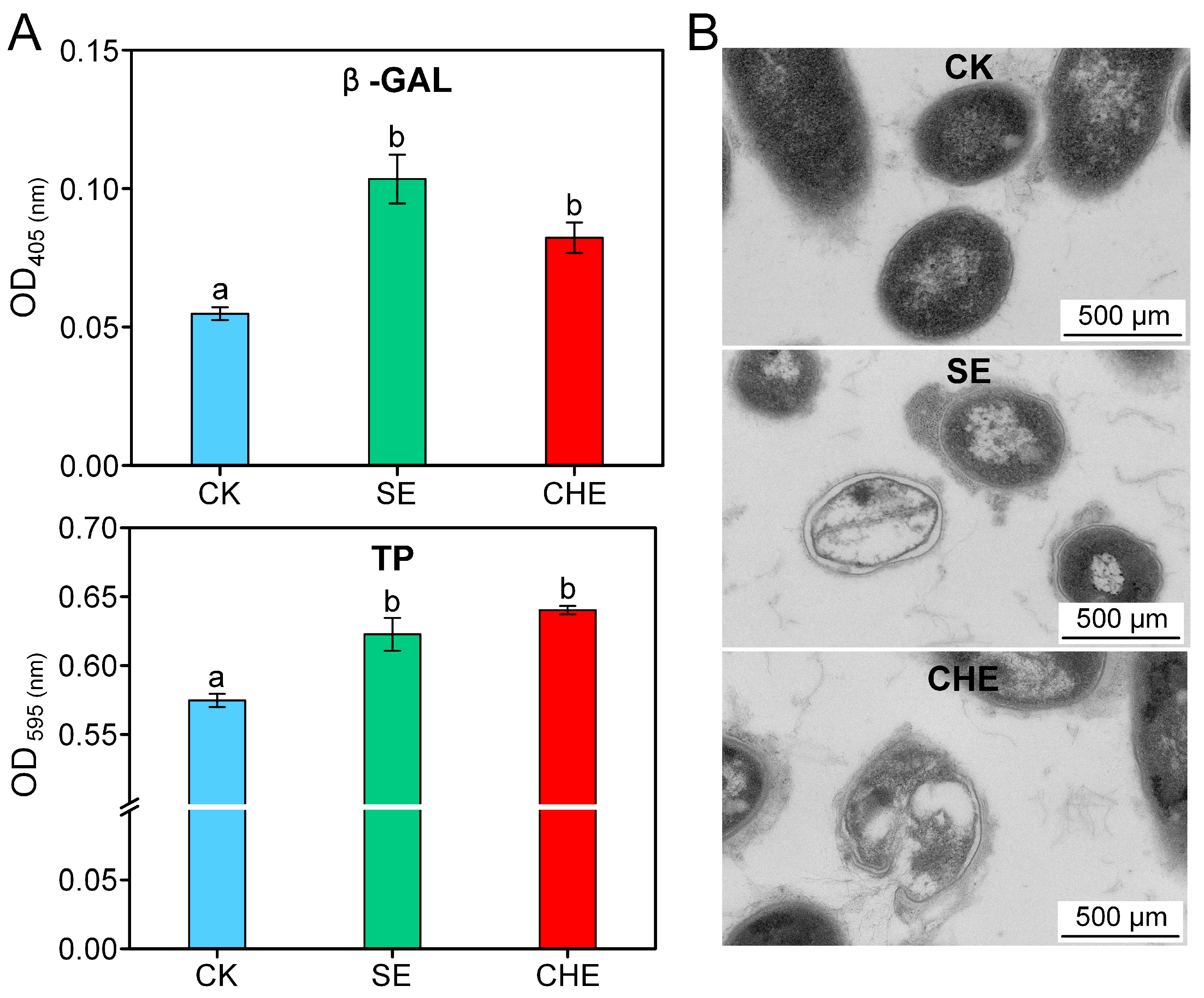Microorganisms 13 02790 g003 Microorganisms 13 02790 g003