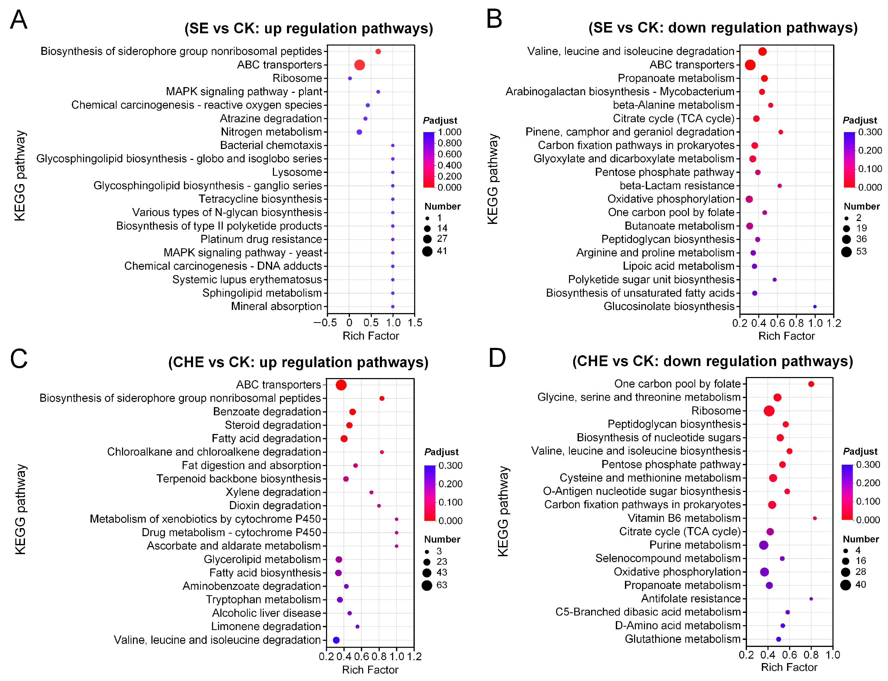 Microorganisms 13 02790 g005 Microorganisms 13 02790 g005