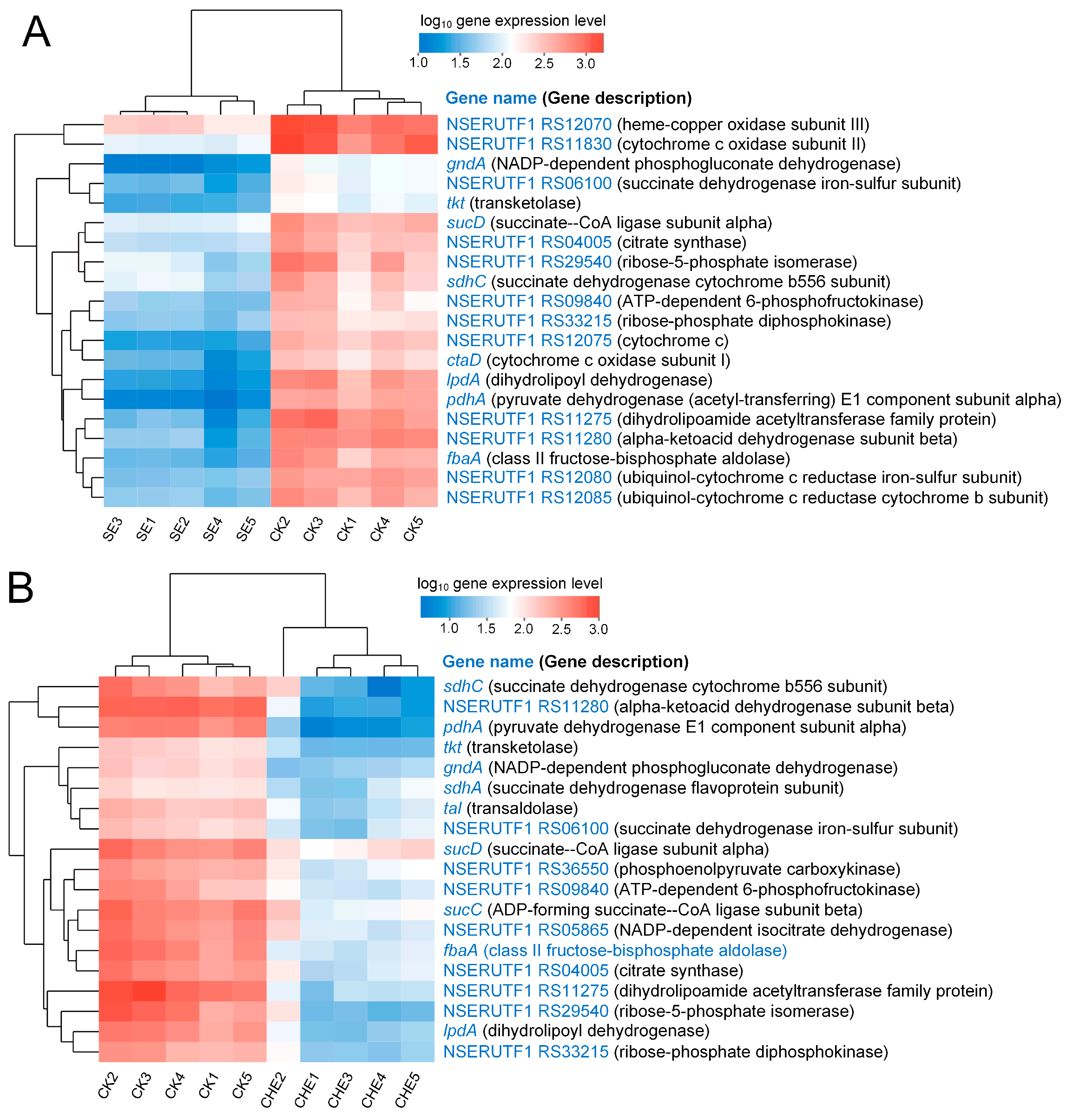 Microorganisms 13 02790 g006 Microorganisms 13 02790 g006