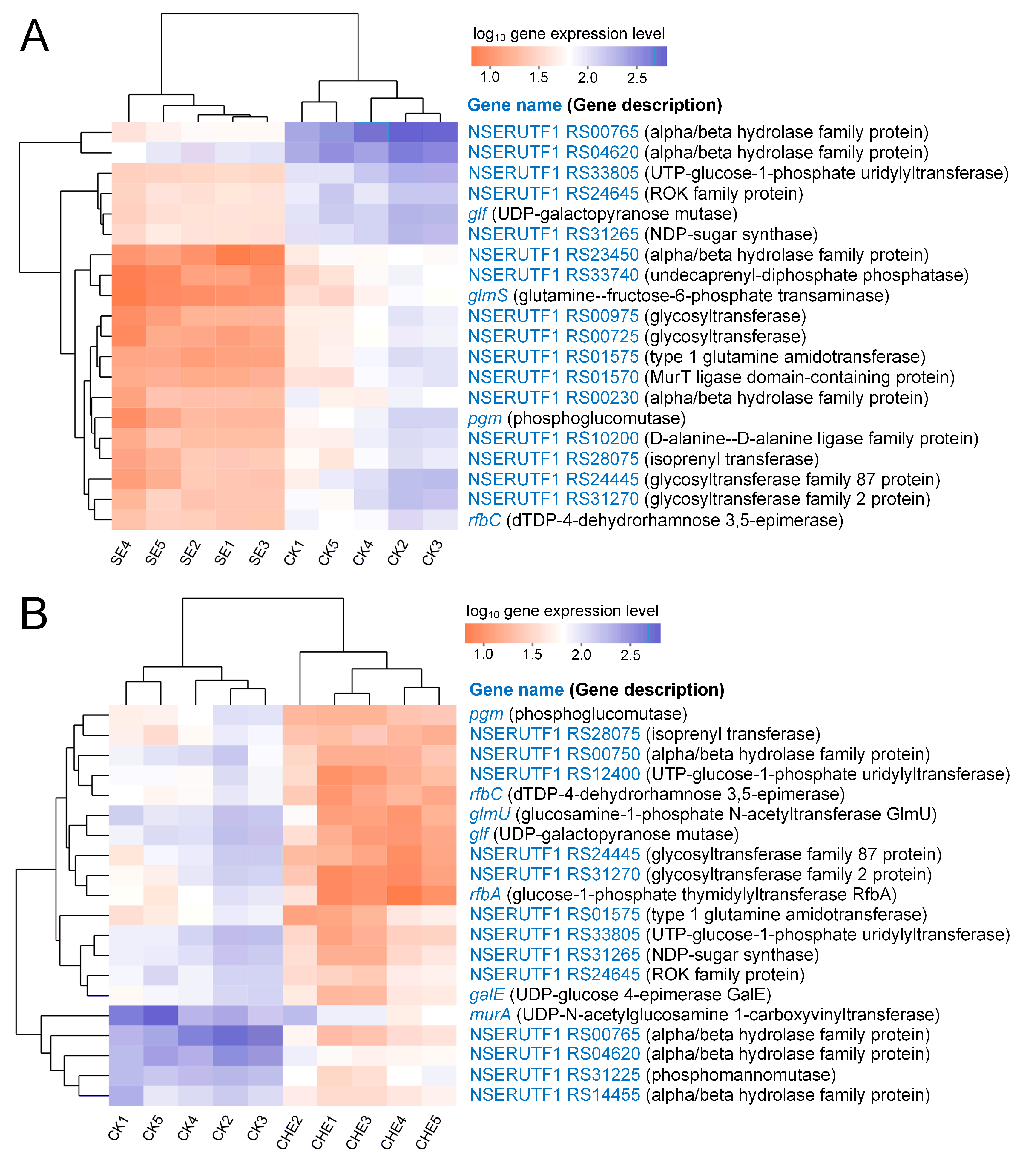 Microorganisms 13 02790 g007 Microorganisms 13 02790 g007