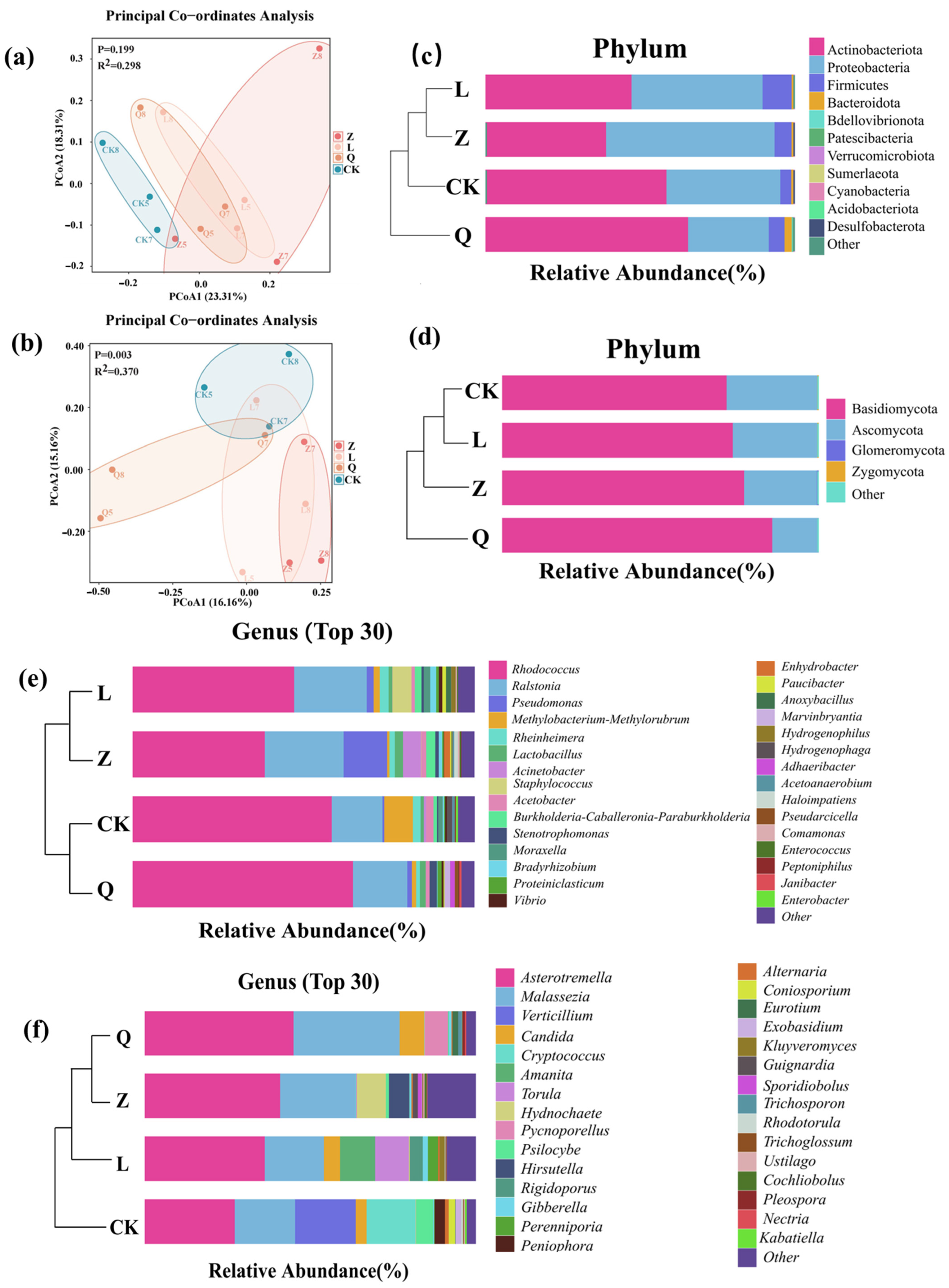 Microorganisms 13 02791 g001