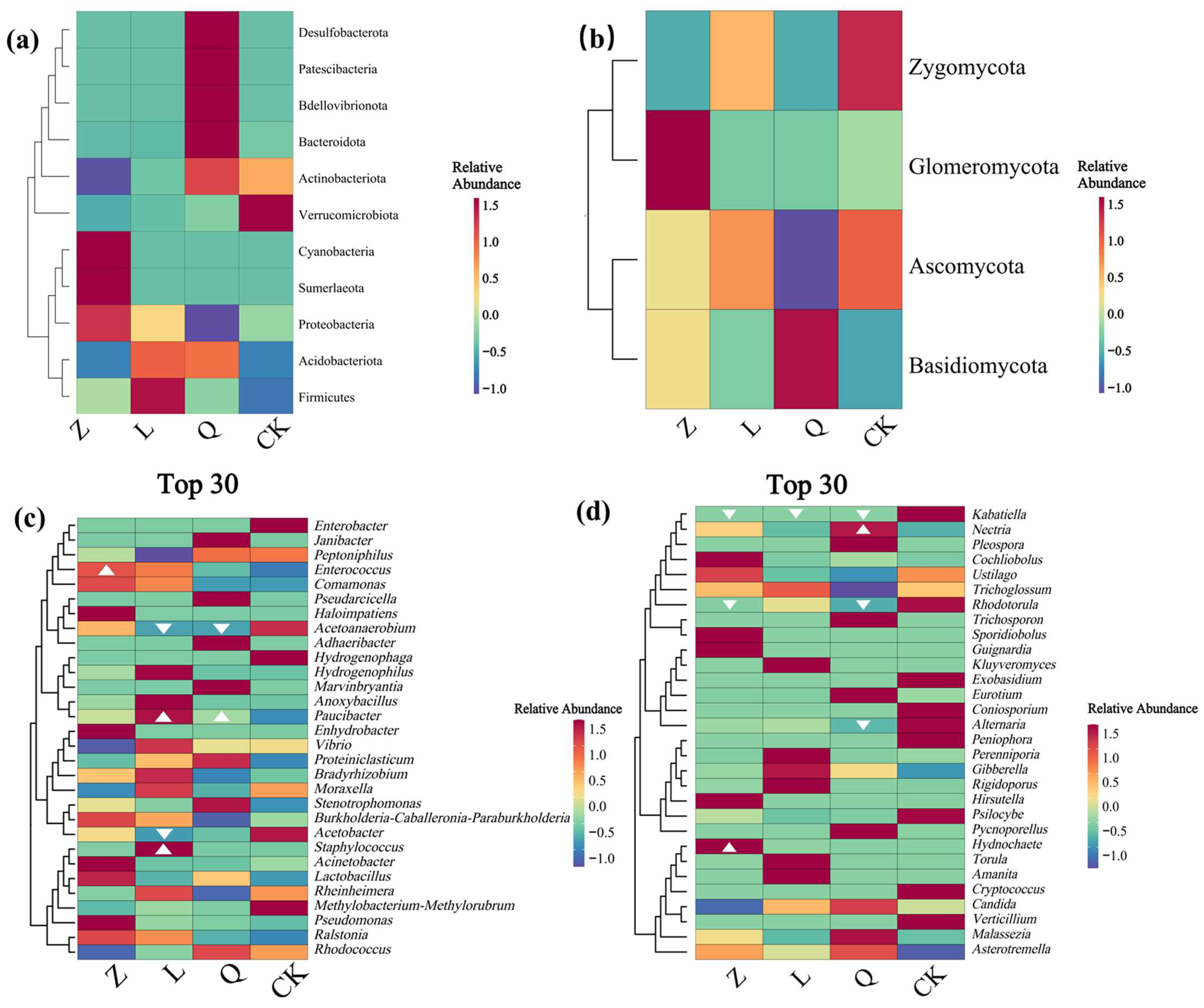 Microorganisms 13 02791 g002
