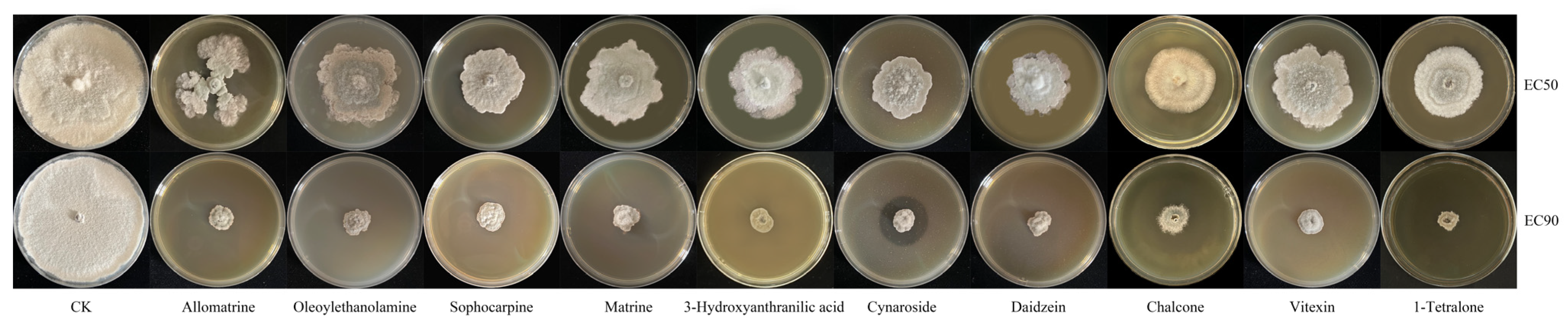 Microorganisms 13 02794 g009
