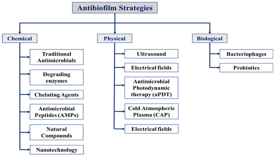 Emerging Multimodal Strategies for Bacterial Biofilm Eradication: A ...