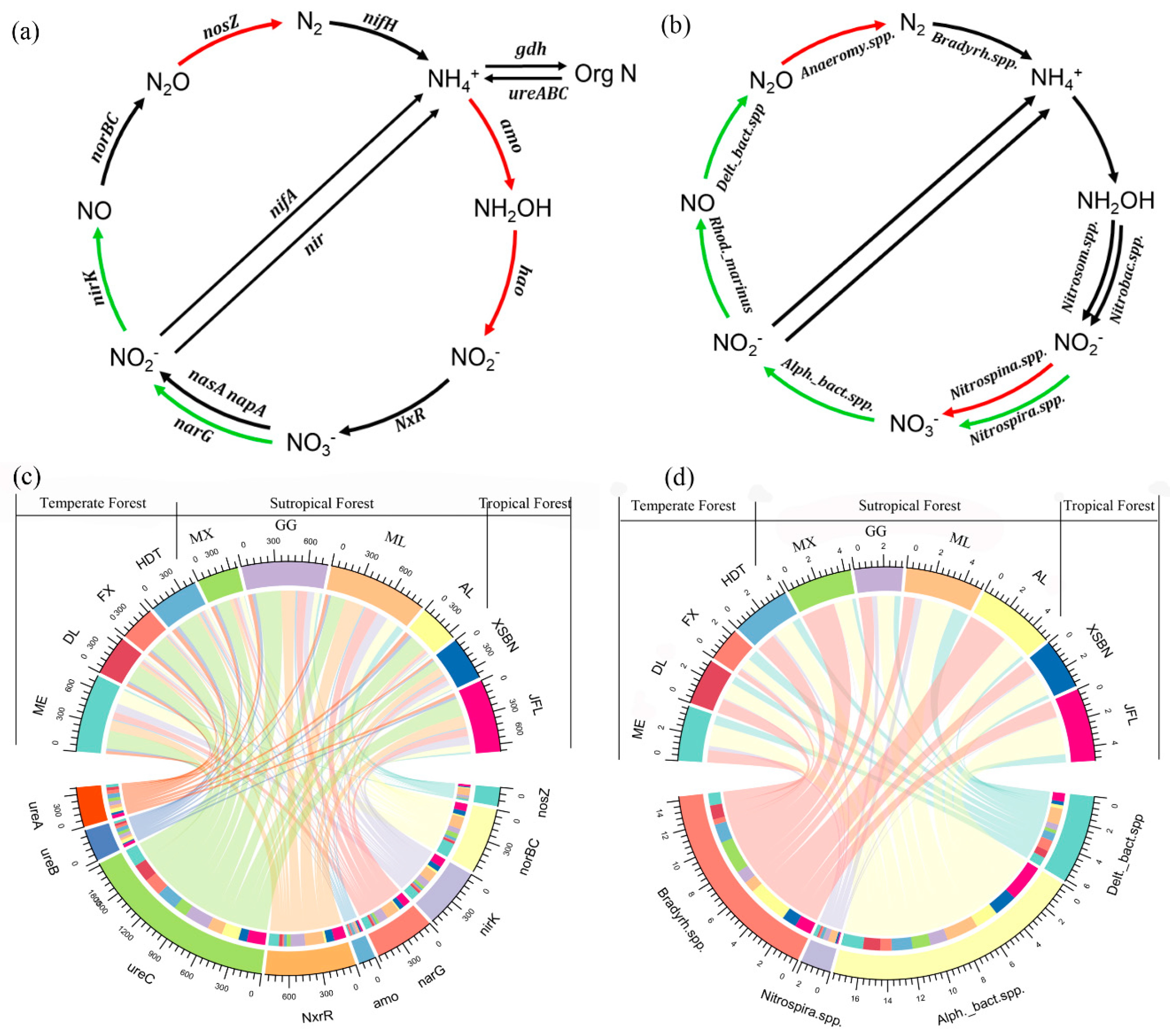 Microorganisms 13 02799 g002 Microorganisms 13 02799 g002