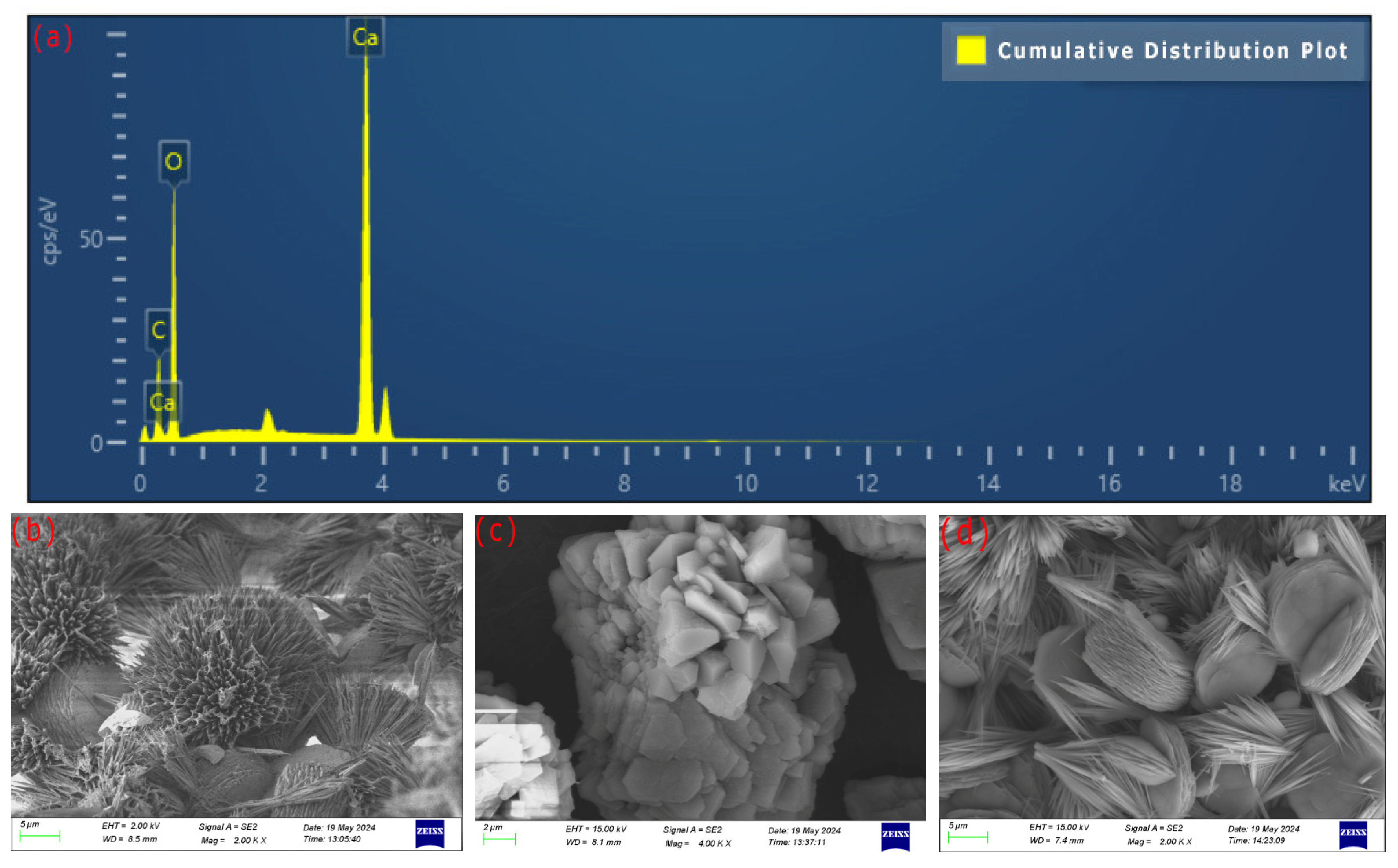 Microorganisms 13 02802 g010a Microorganisms 13 02802 g010a