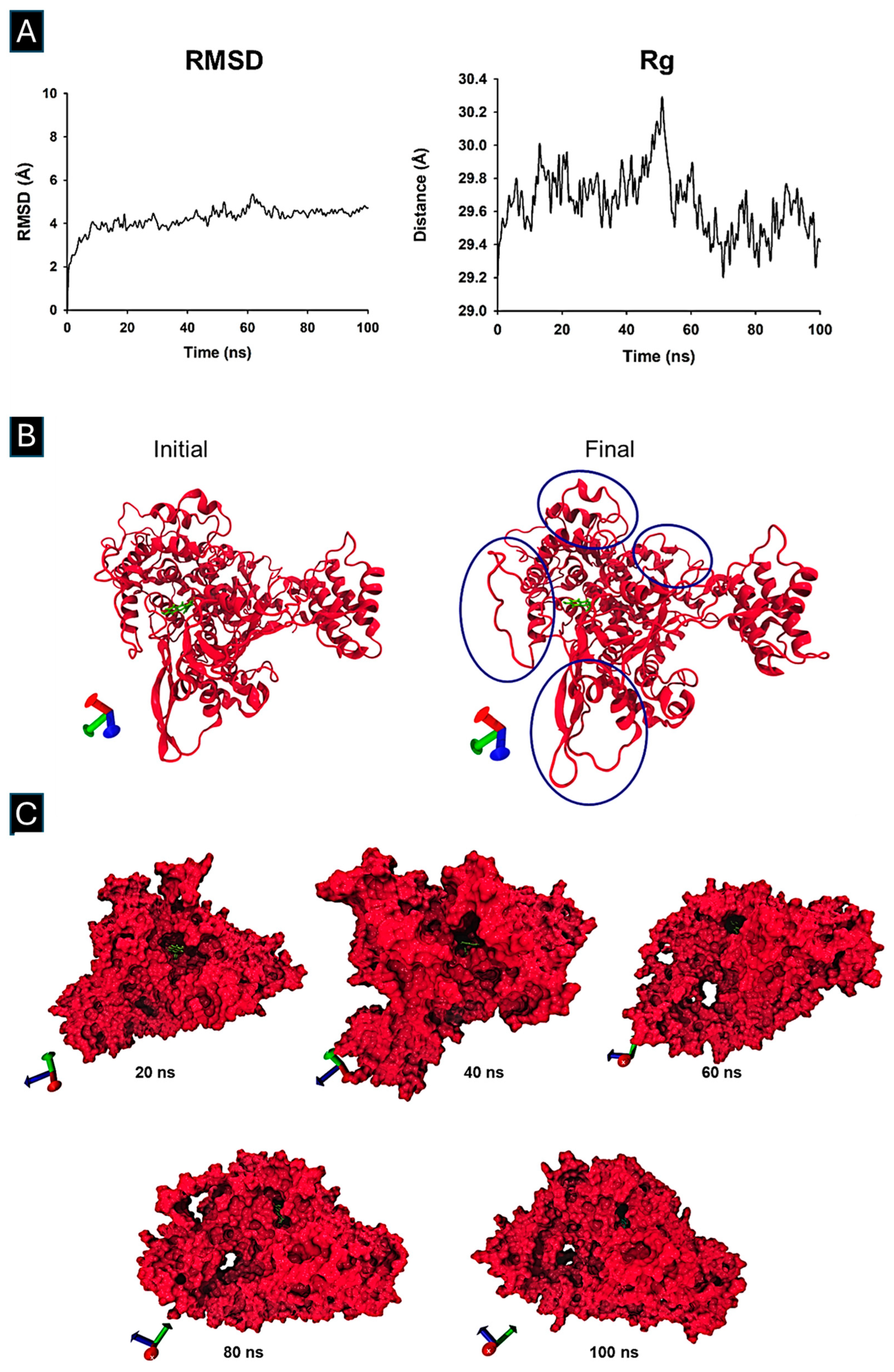 Microorganisms 13 02809 g004 Microorganisms 13 02809 g004