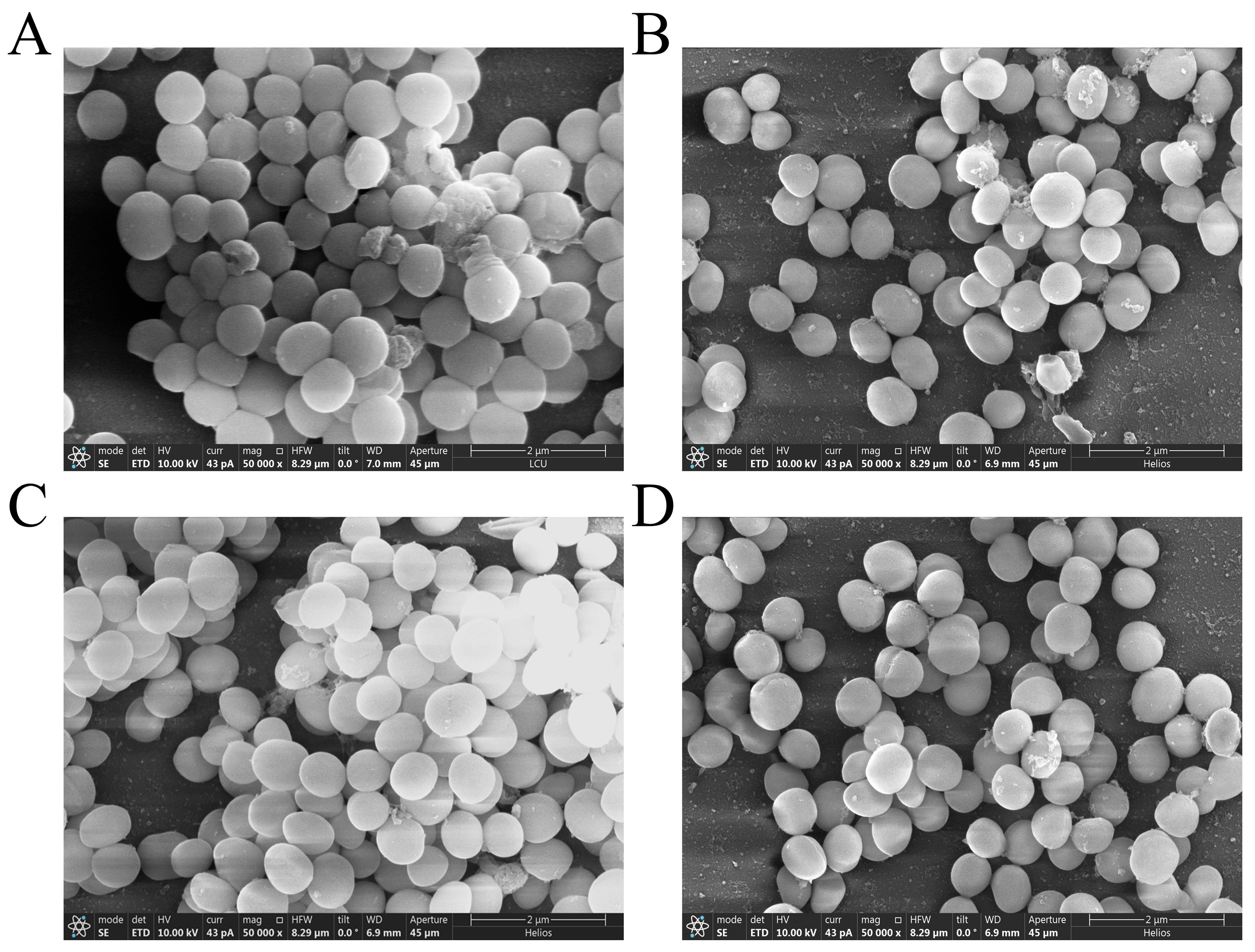 Microorganisms 13 02810 g003