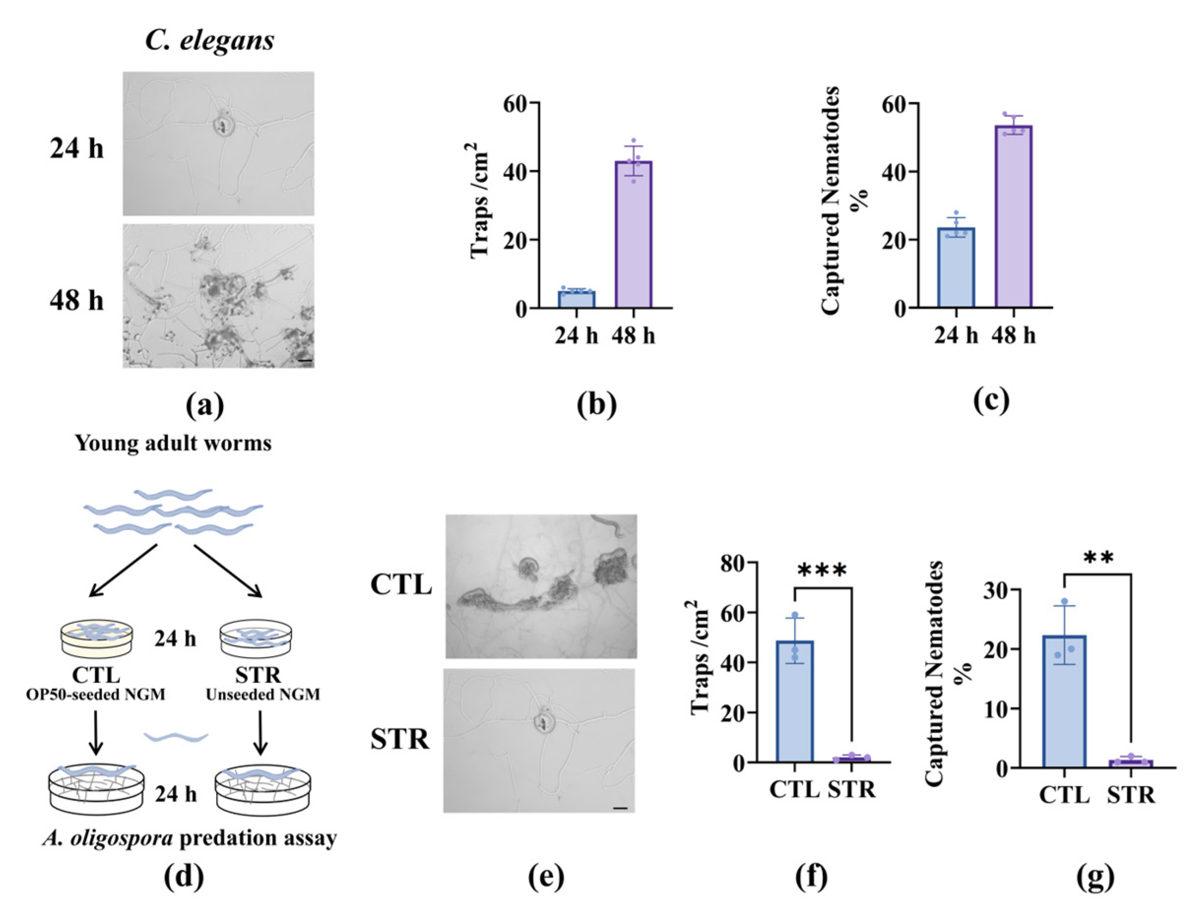 Microorganisms 13 02816 g001