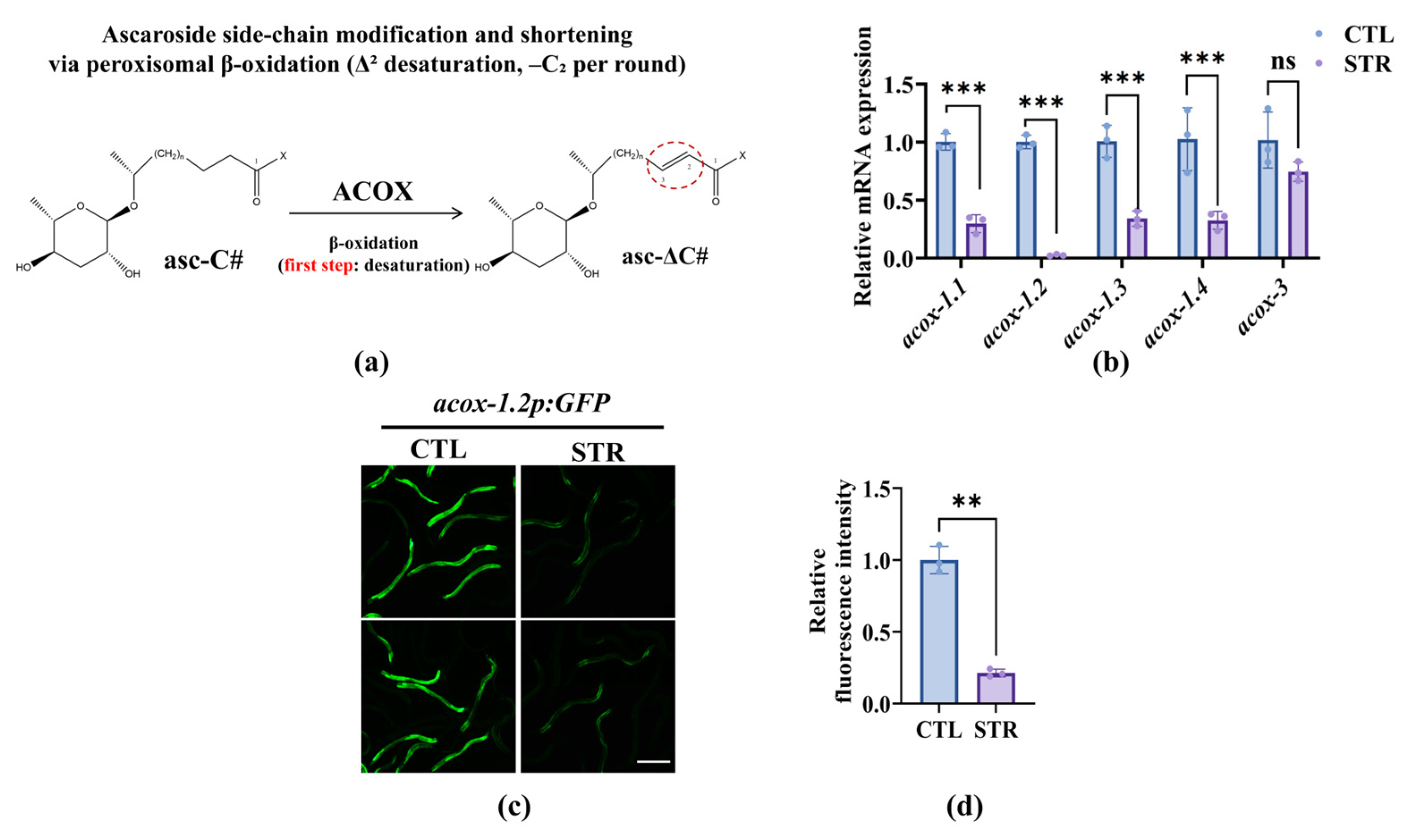 Microorganisms 13 02816 g003