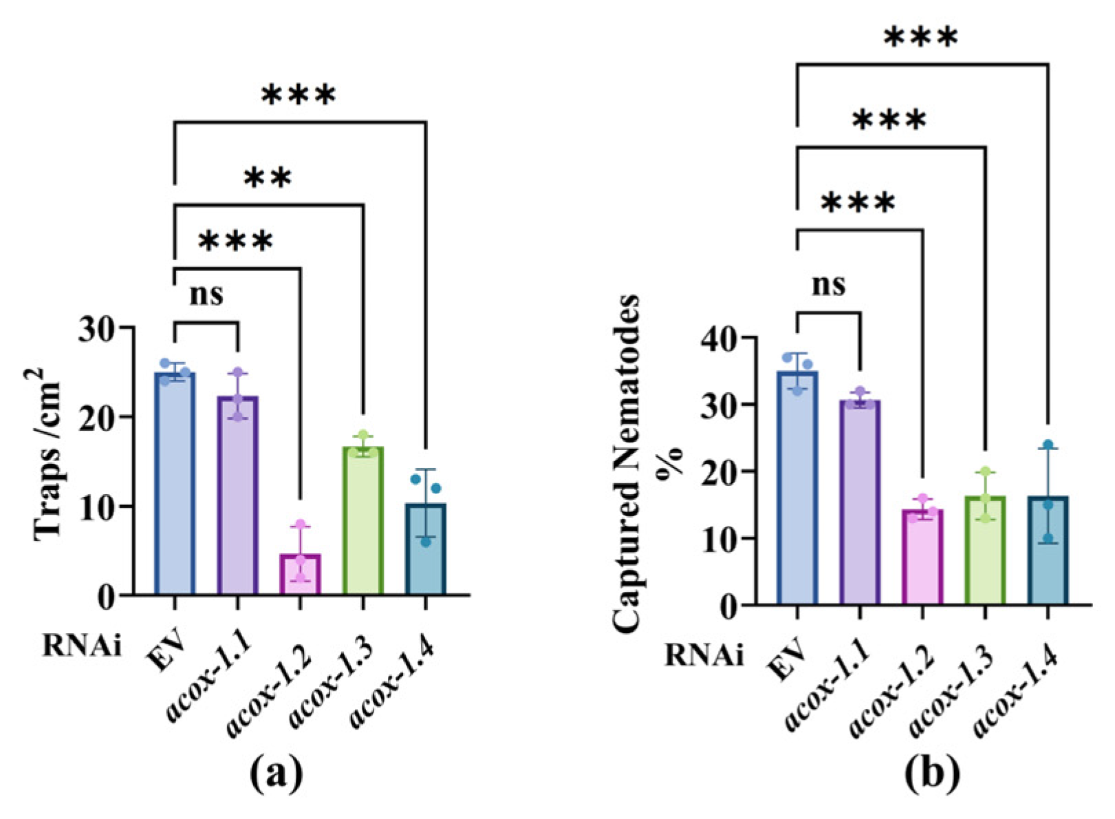 Microorganisms 13 02816 g004