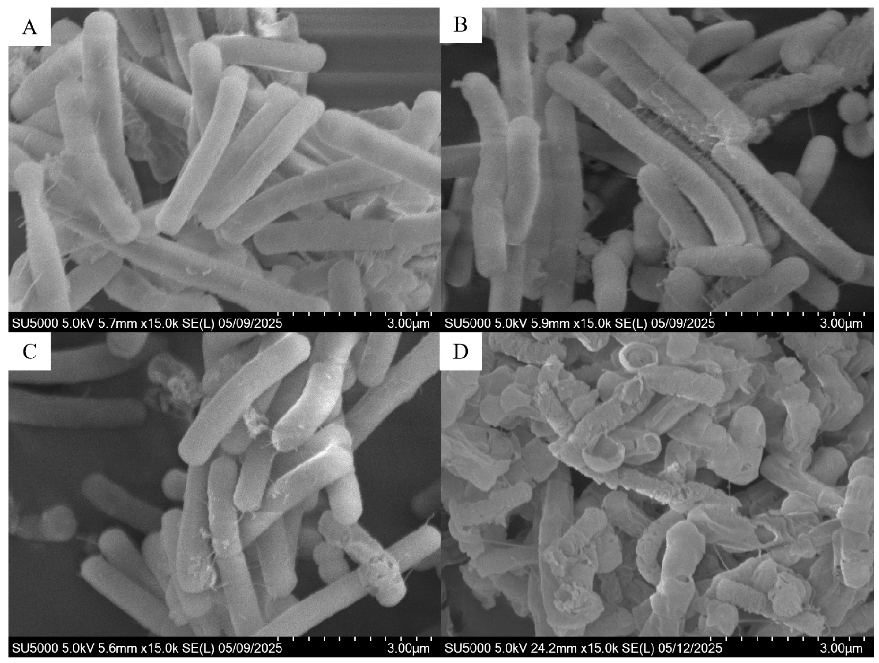 Microorganisms 13 02819 g003 Microorganisms 13 02819 g003