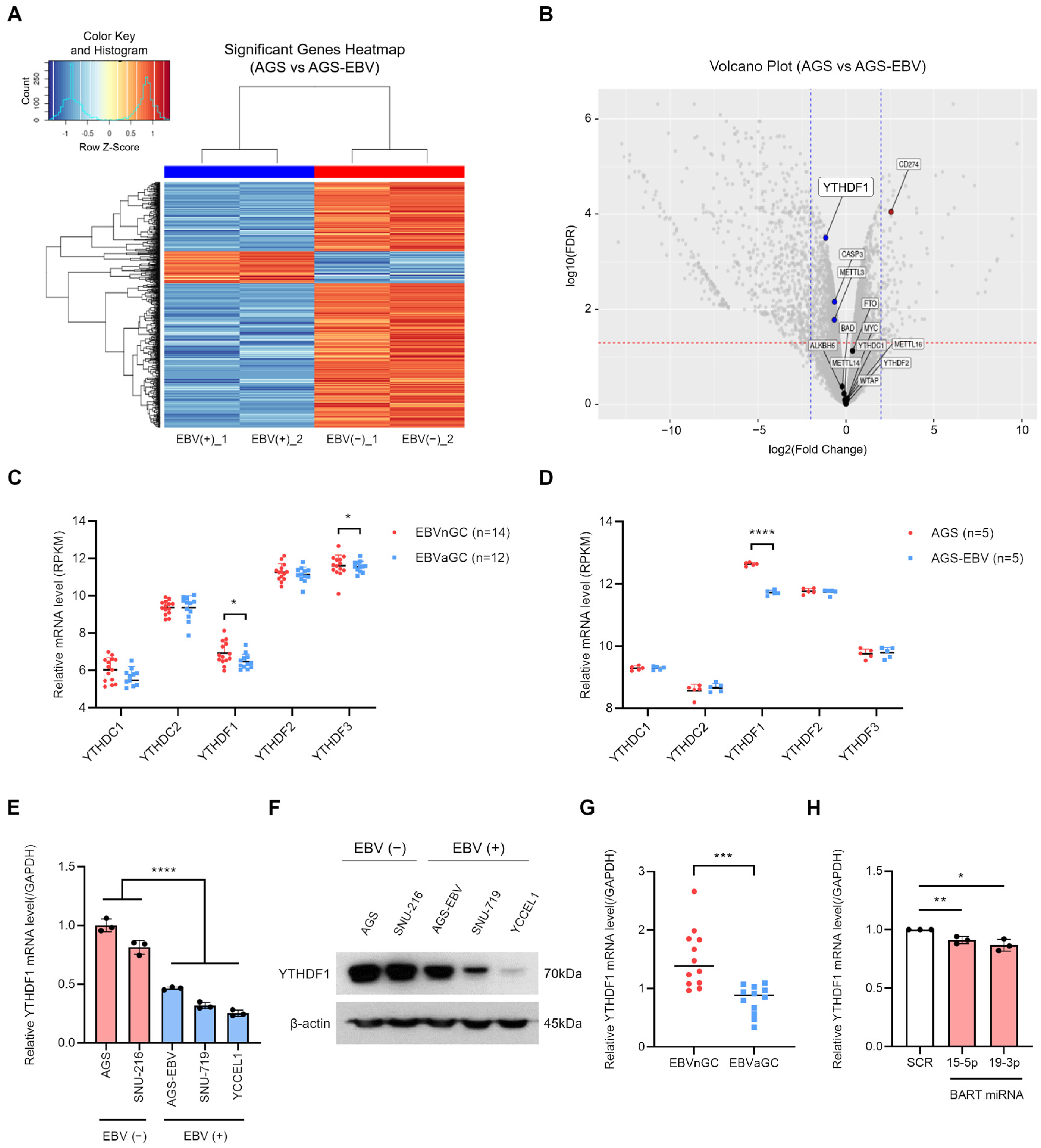 Microorganisms 13 02820 g001 Microorganisms 13 02820 g001