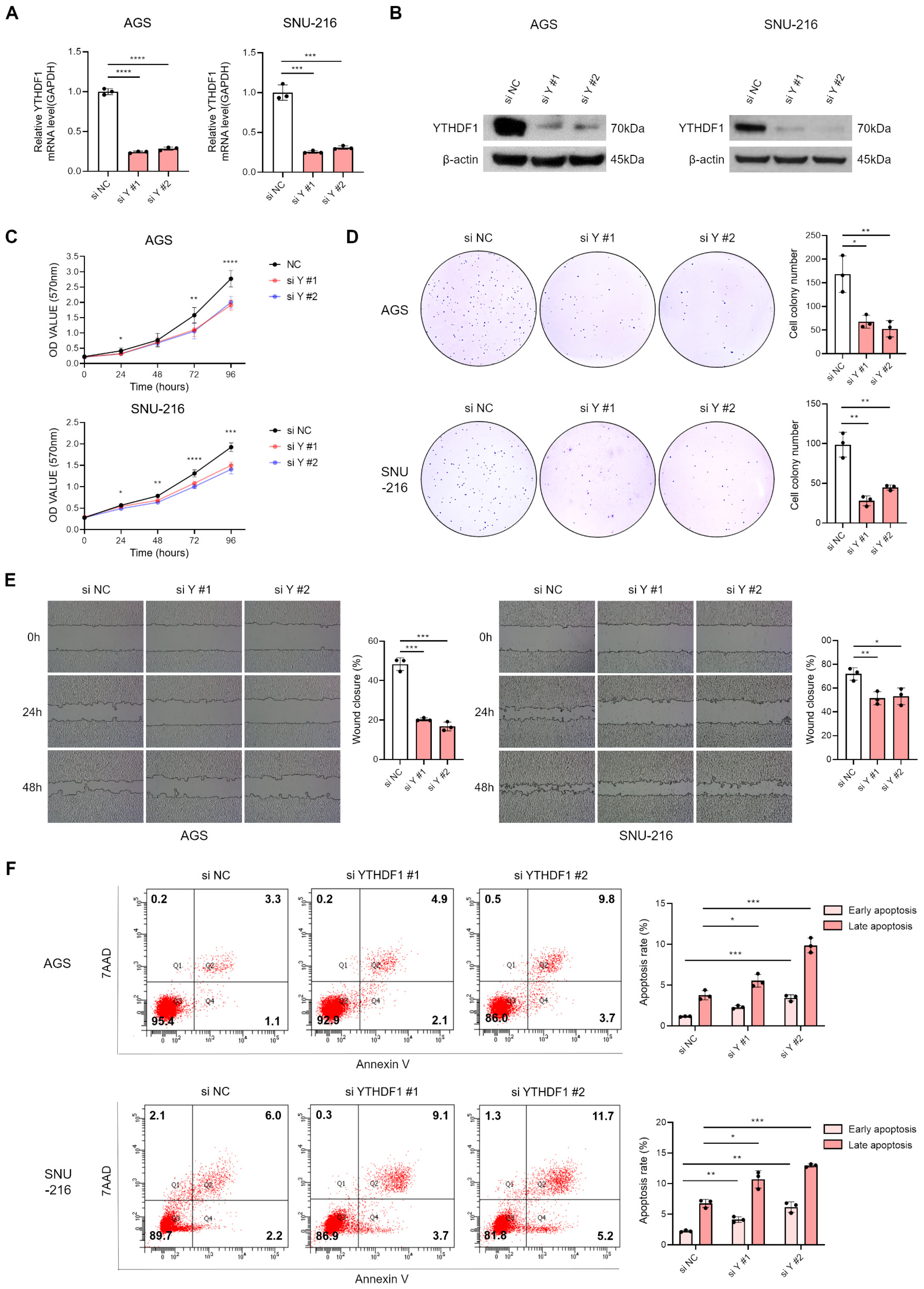 Microorganisms 13 02820 g002 Microorganisms 13 02820 g002