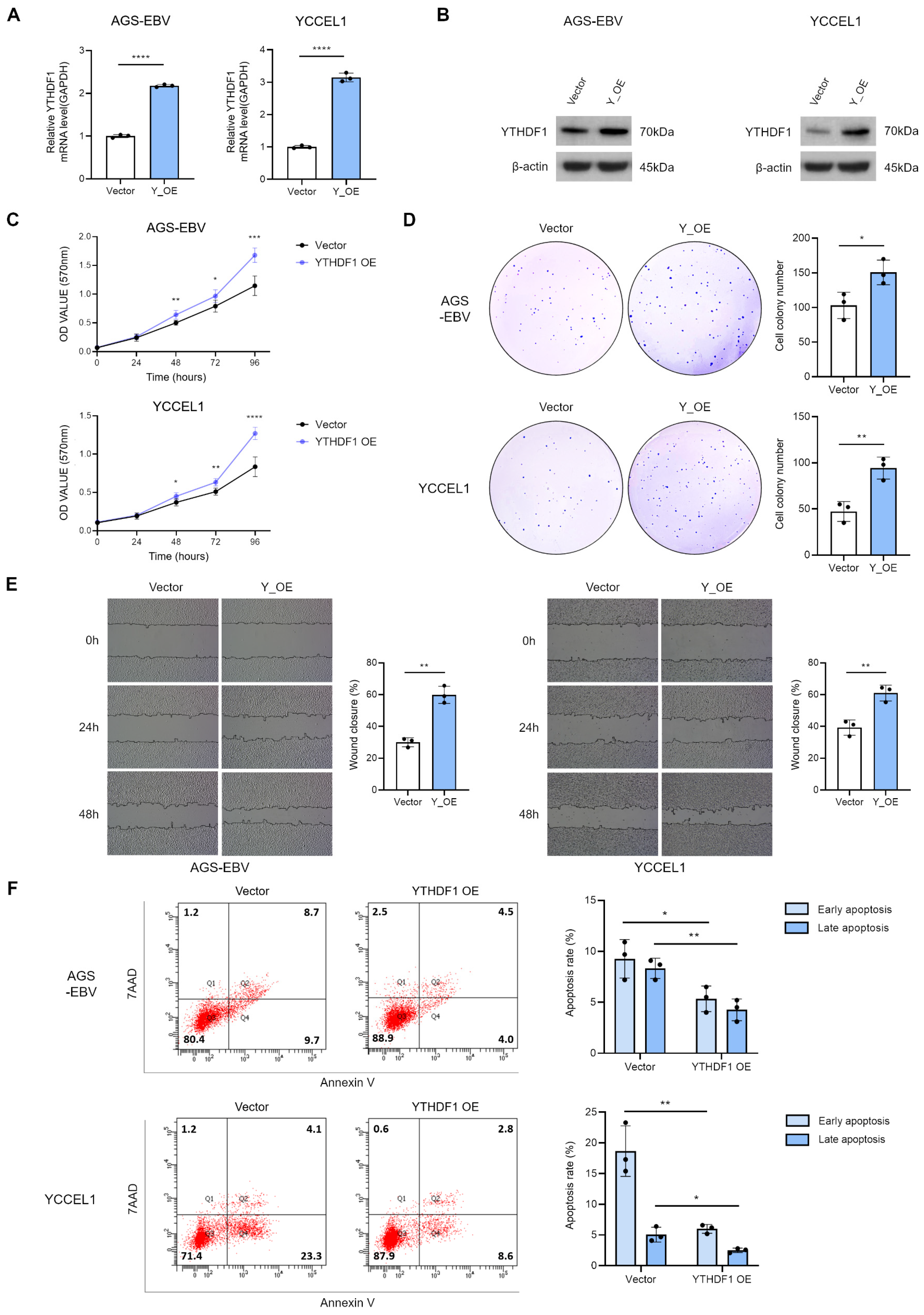 Microorganisms 13 02820 g003 Microorganisms 13 02820 g003