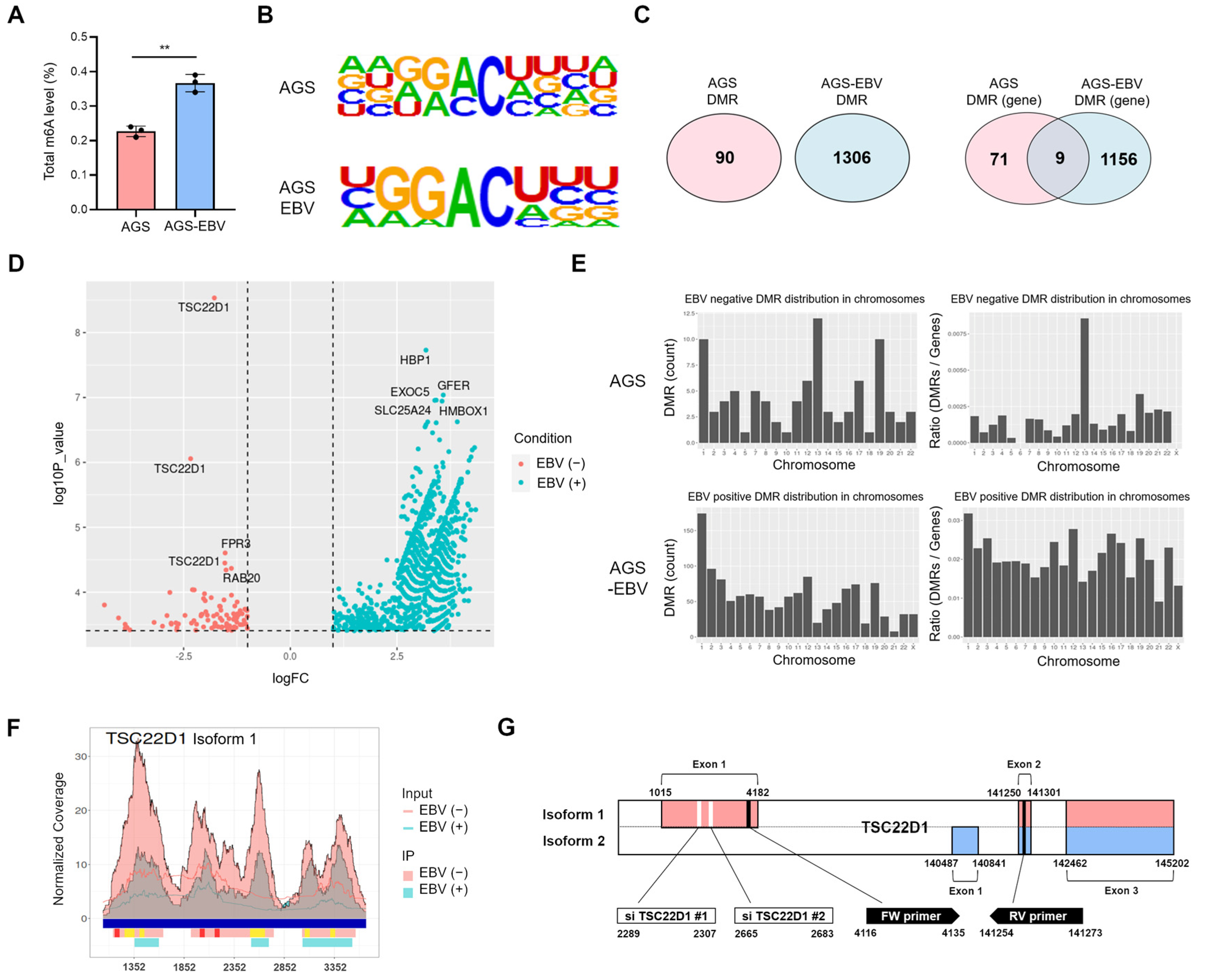 Microorganisms 13 02820 g004 Microorganisms 13 02820 g004