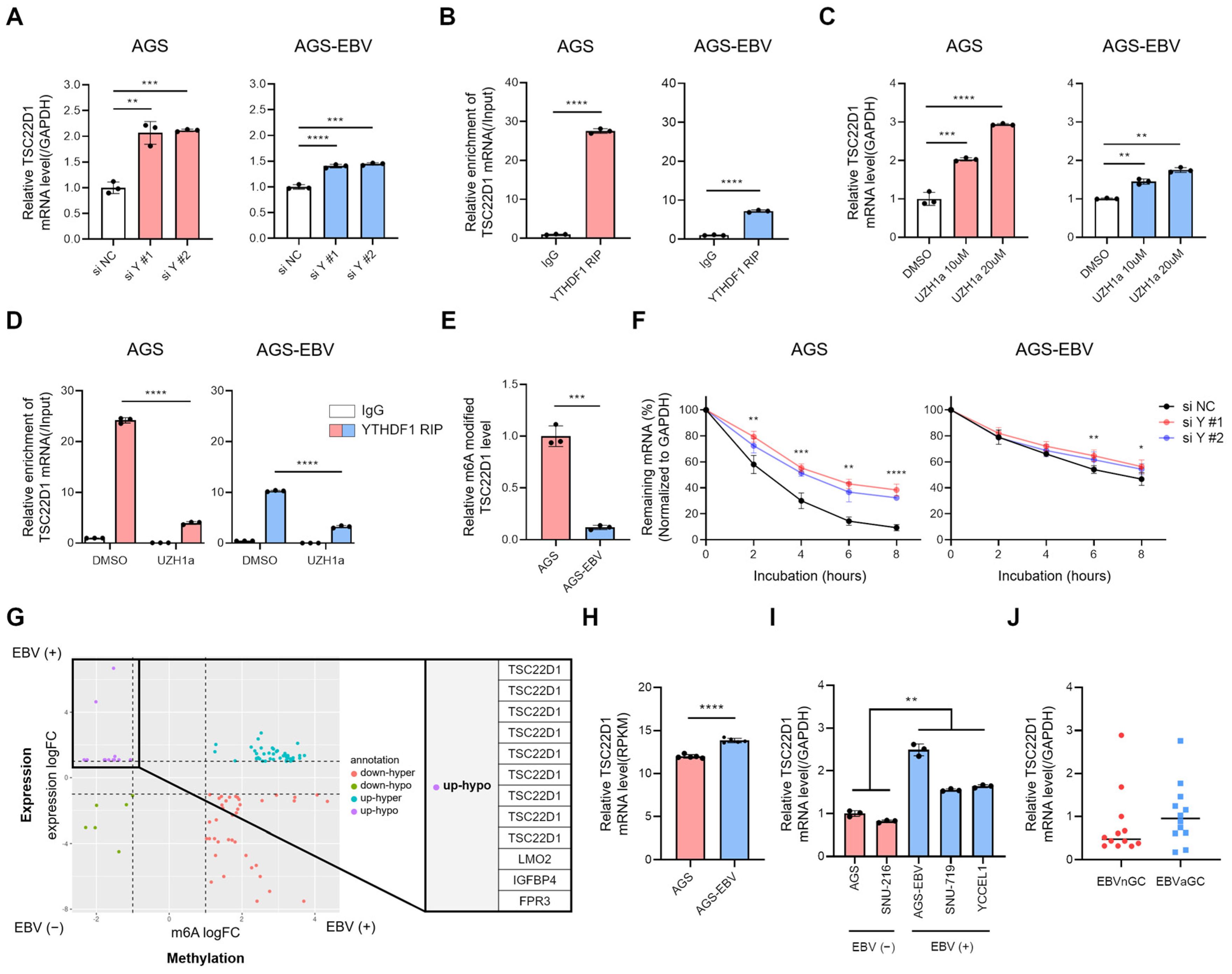 Microorganisms 13 02820 g005 Microorganisms 13 02820 g005