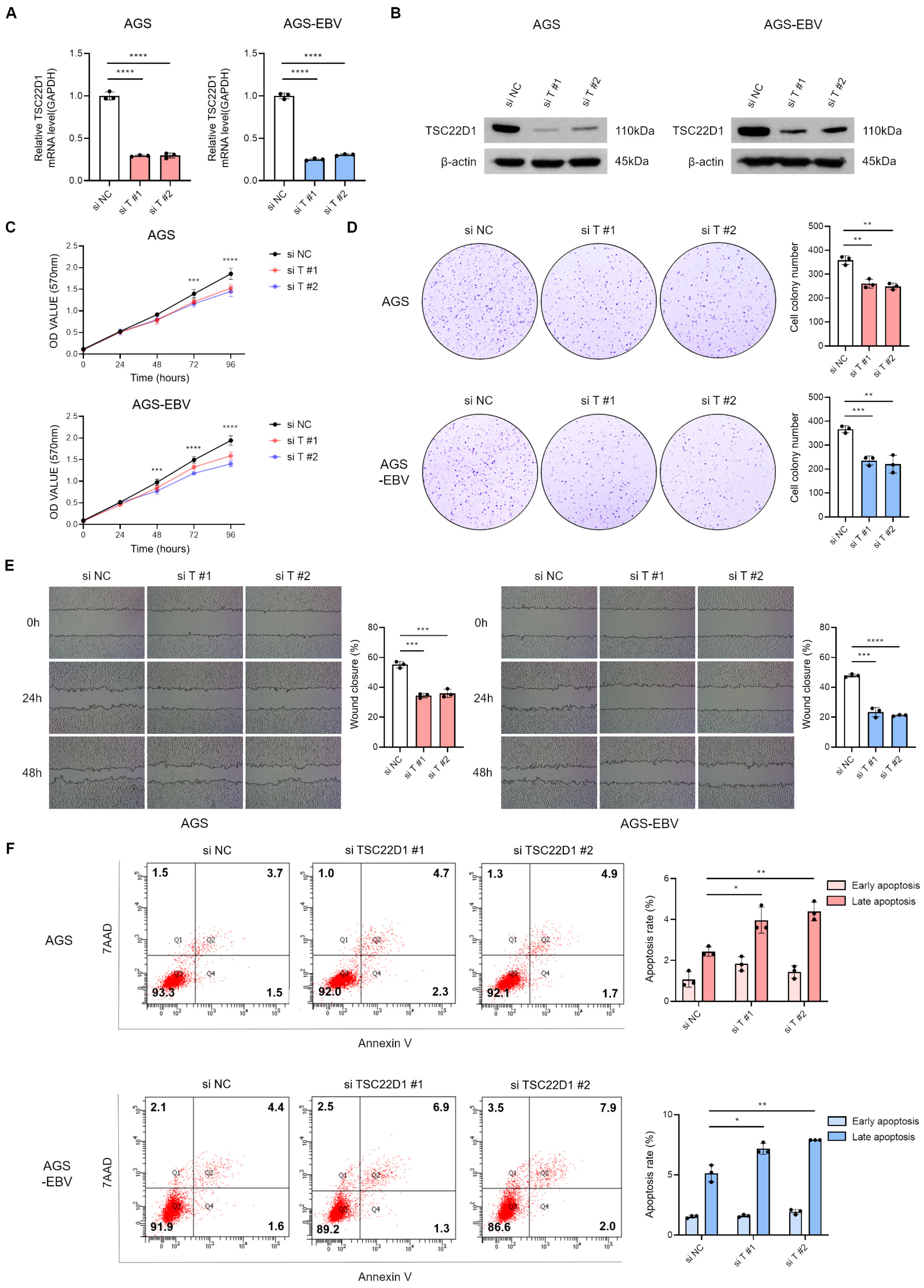 Microorganisms 13 02820 g006 Microorganisms 13 02820 g006
