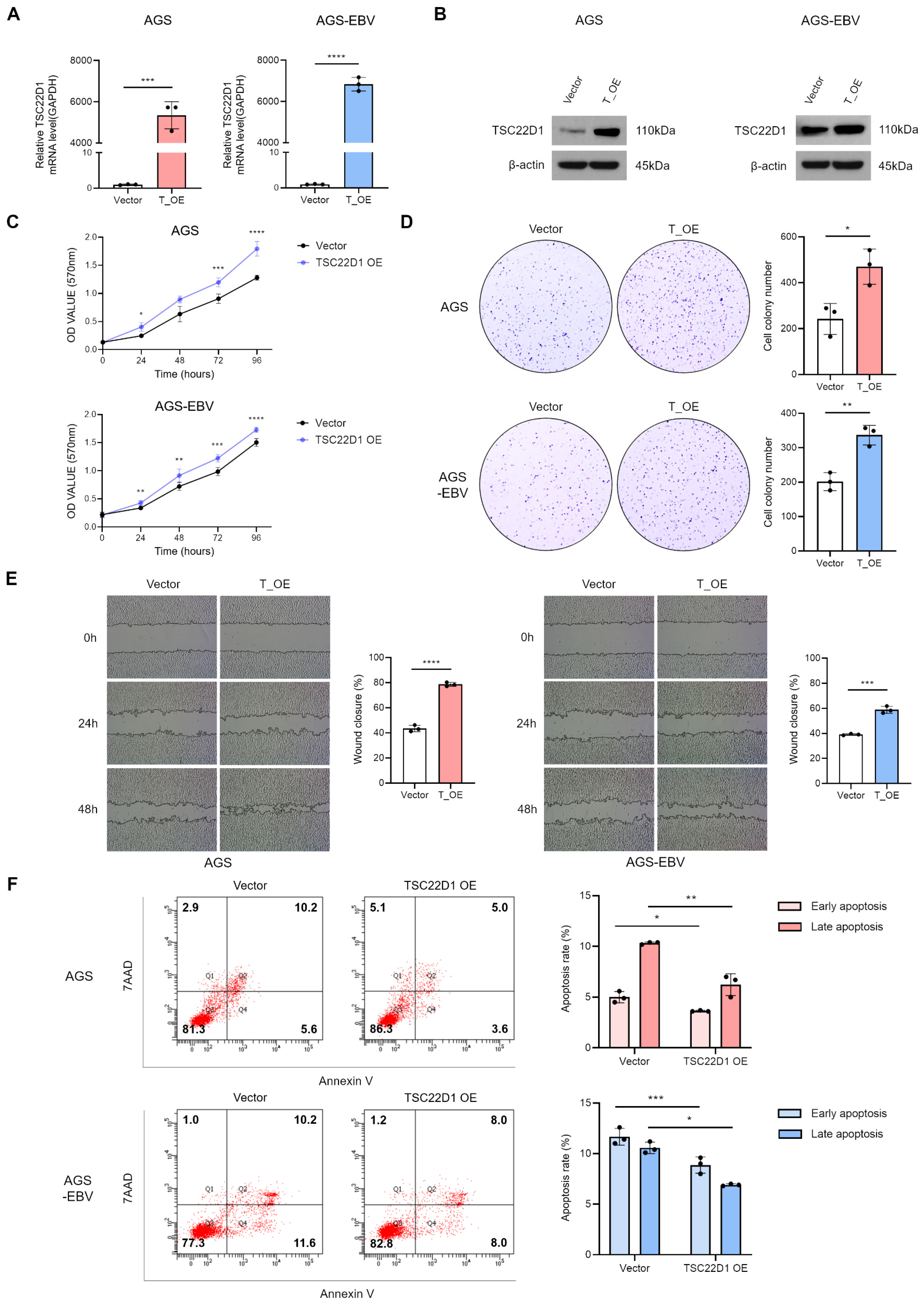 Microorganisms 13 02820 g007 Microorganisms 13 02820 g007