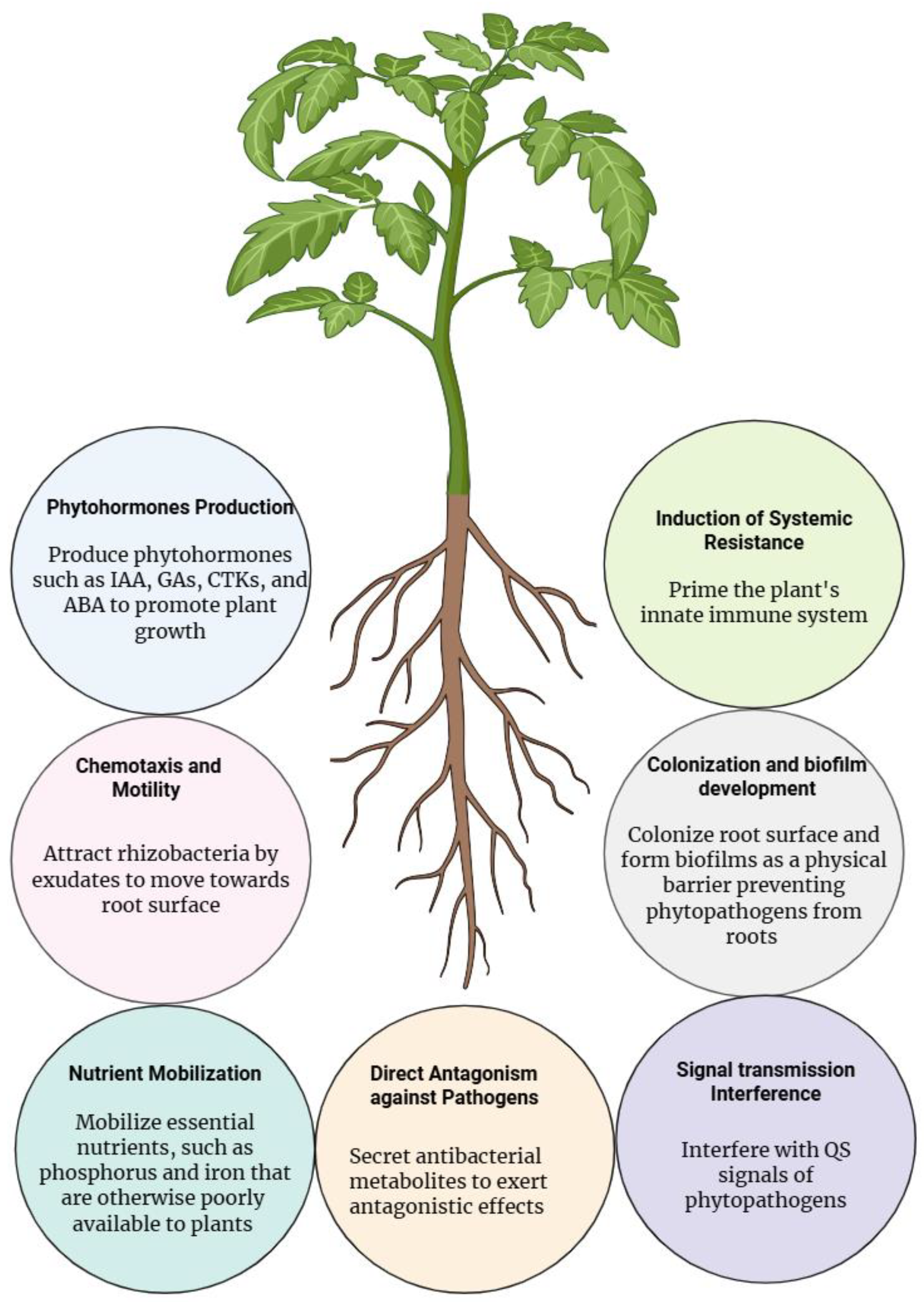 Microorganisms 13 02823 g001 Microorganisms 13 02823 g001