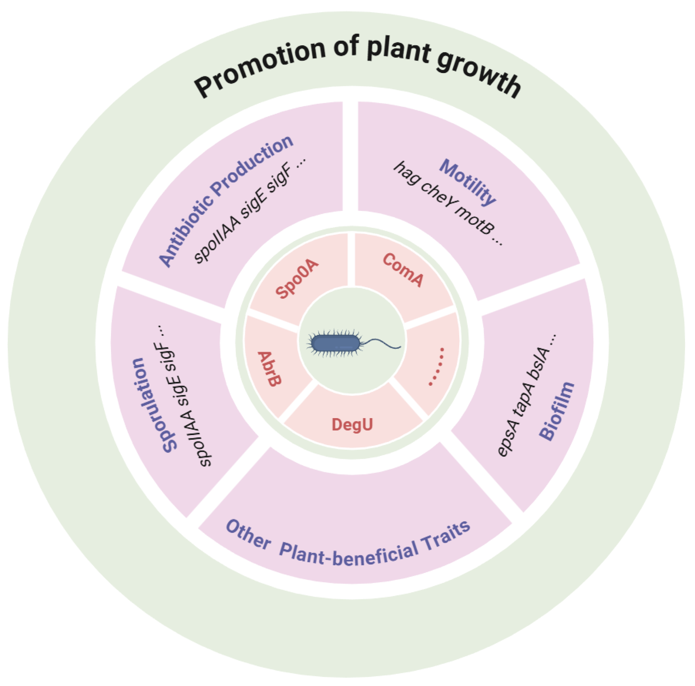 Microorganisms 13 02823 g004 Microorganisms 13 02823 g004