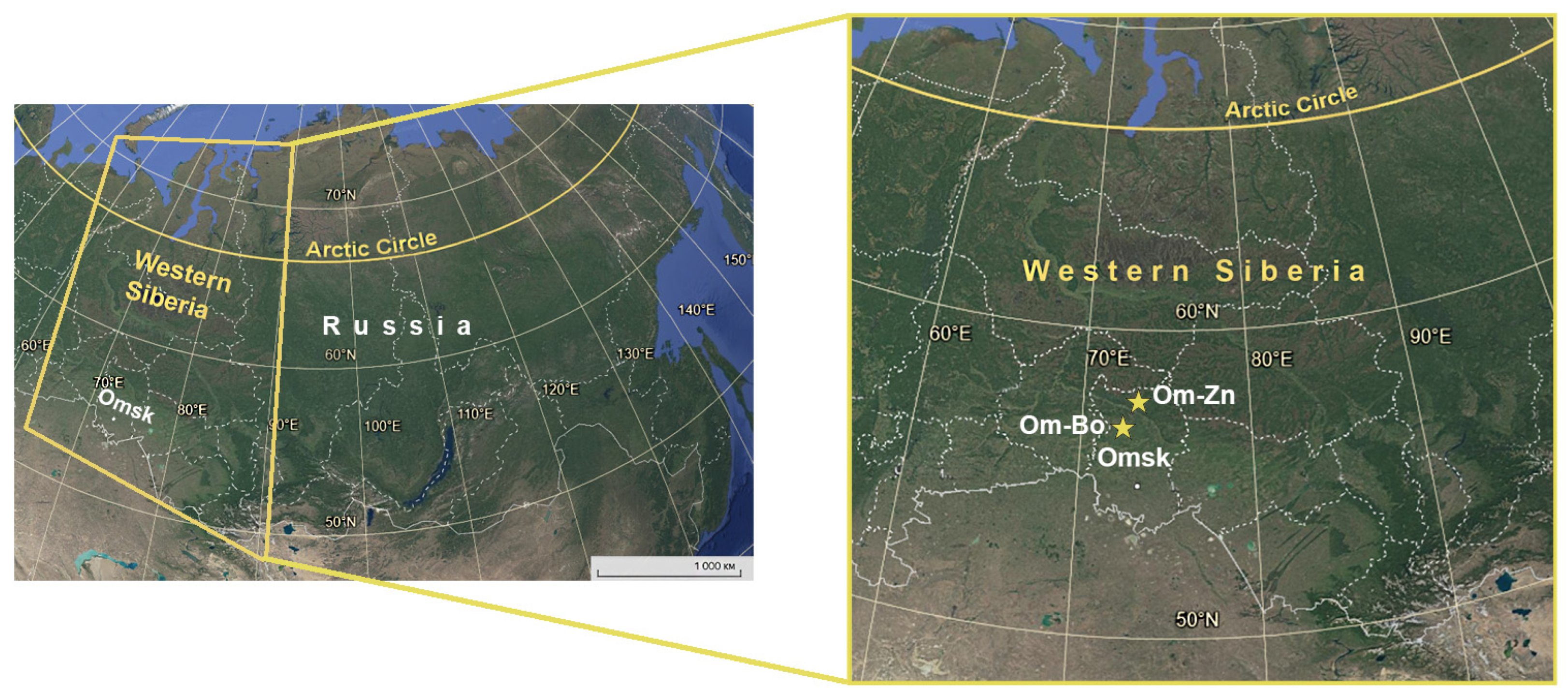Microorganisms 13 02825 g001