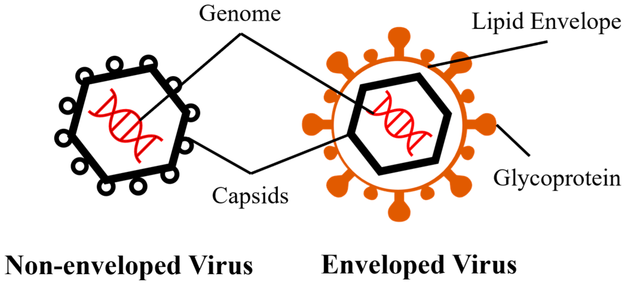 Microorganisms 13 02827 g001
