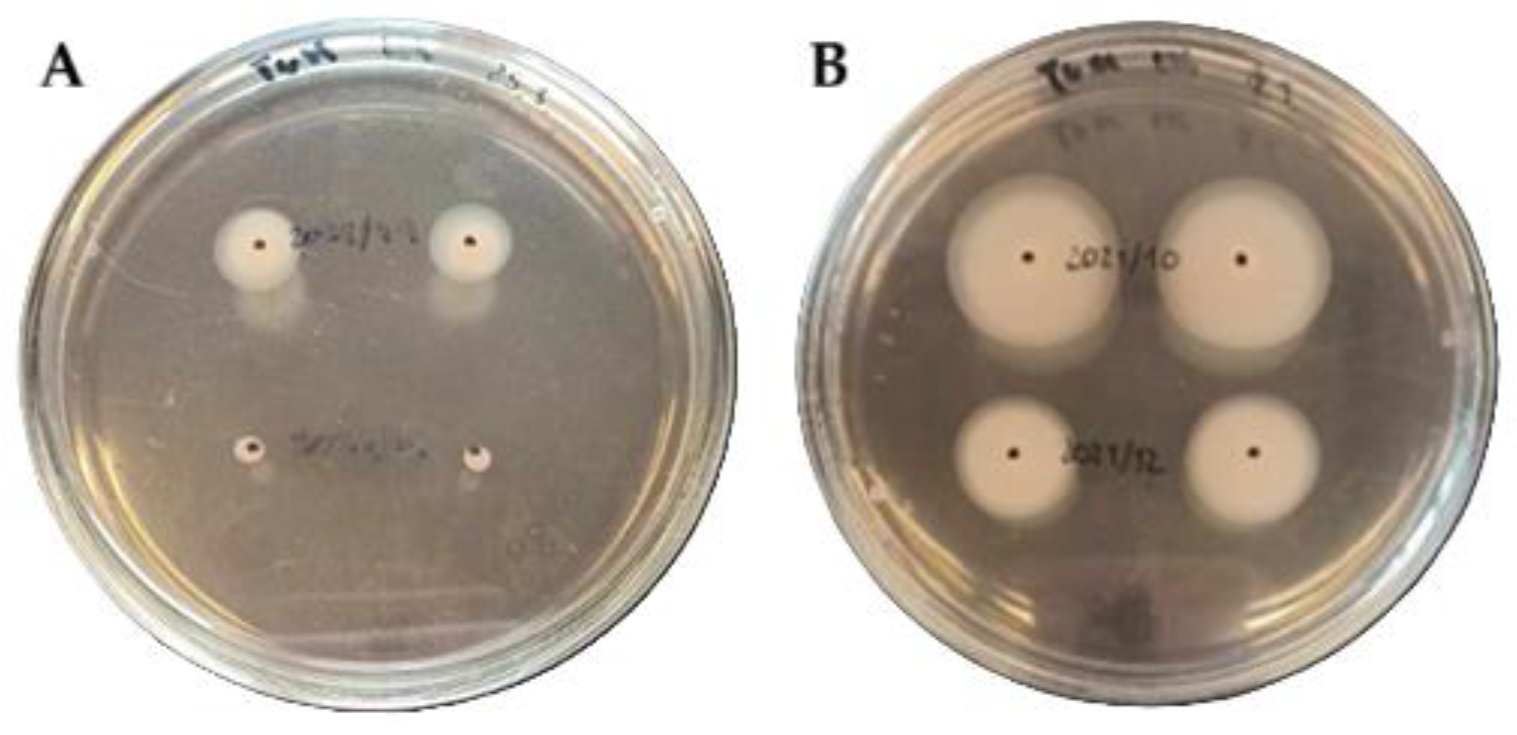 Microorganisms 13 02835 g001 Microorganisms 13 02835 g001