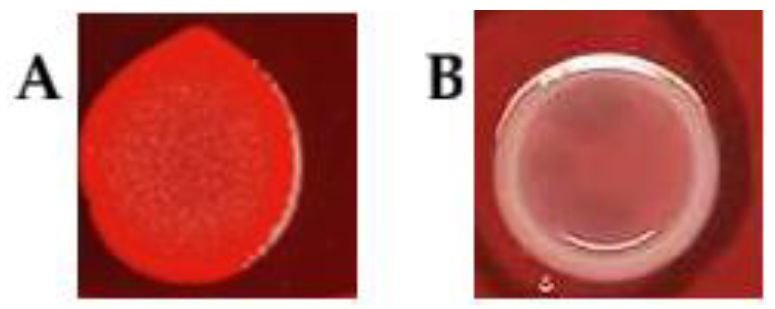 Microorganisms 13 02835 g002 Microorganisms 13 02835 g002