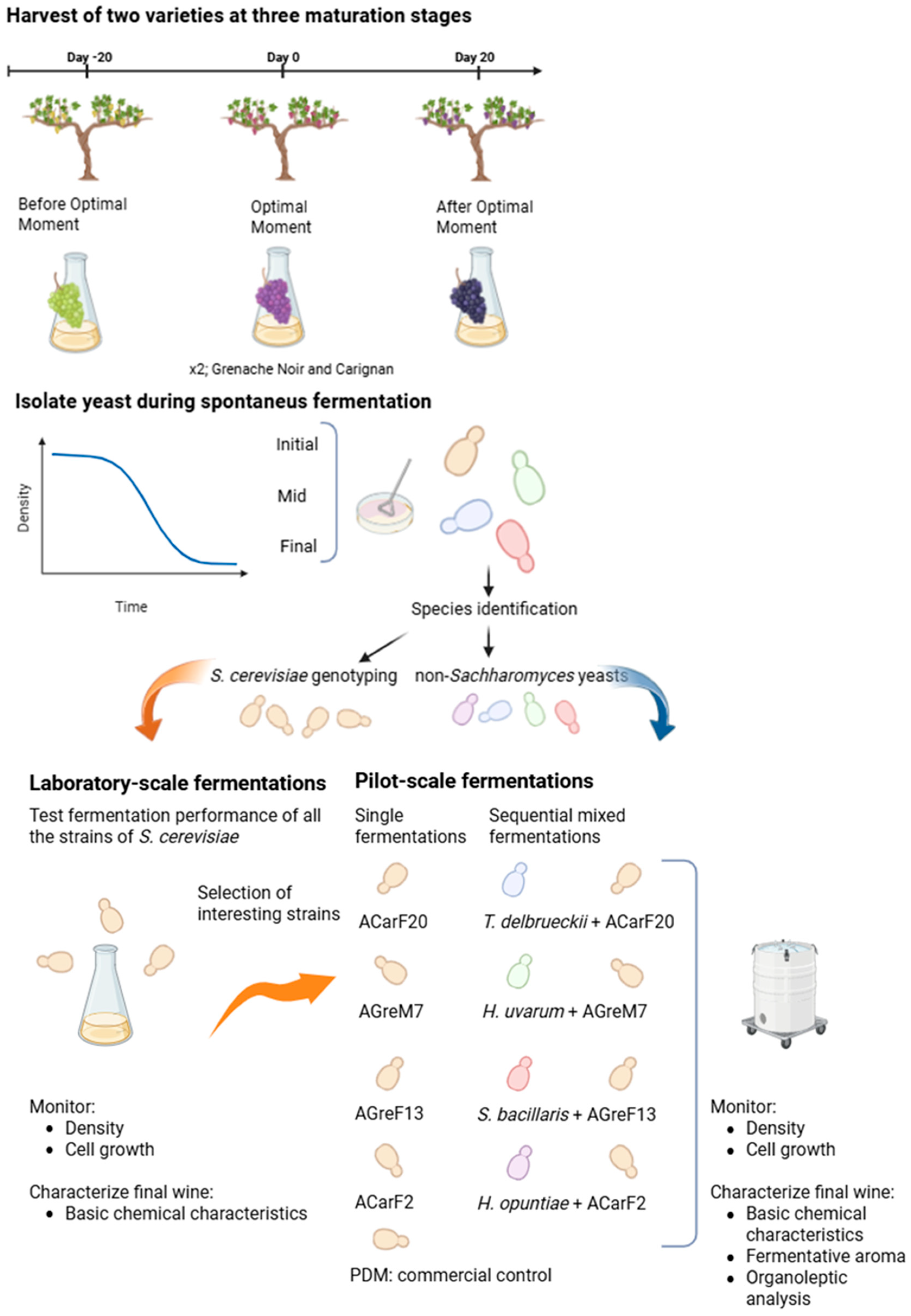 Microorganisms 13 02836 g001 Microorganisms 13 02836 g001
