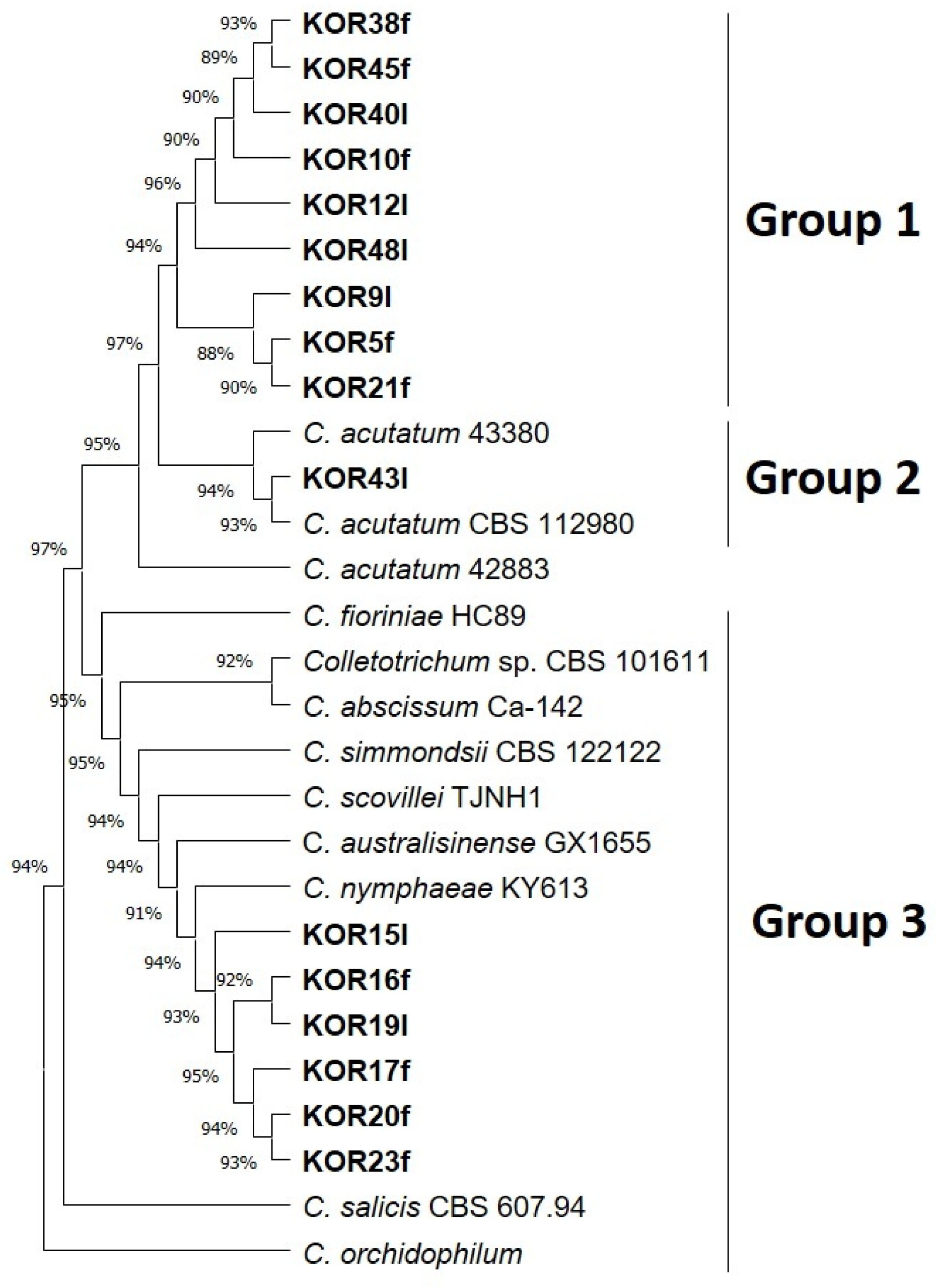 Microorganisms 13 02838 g001 Microorganisms 13 02838 g001